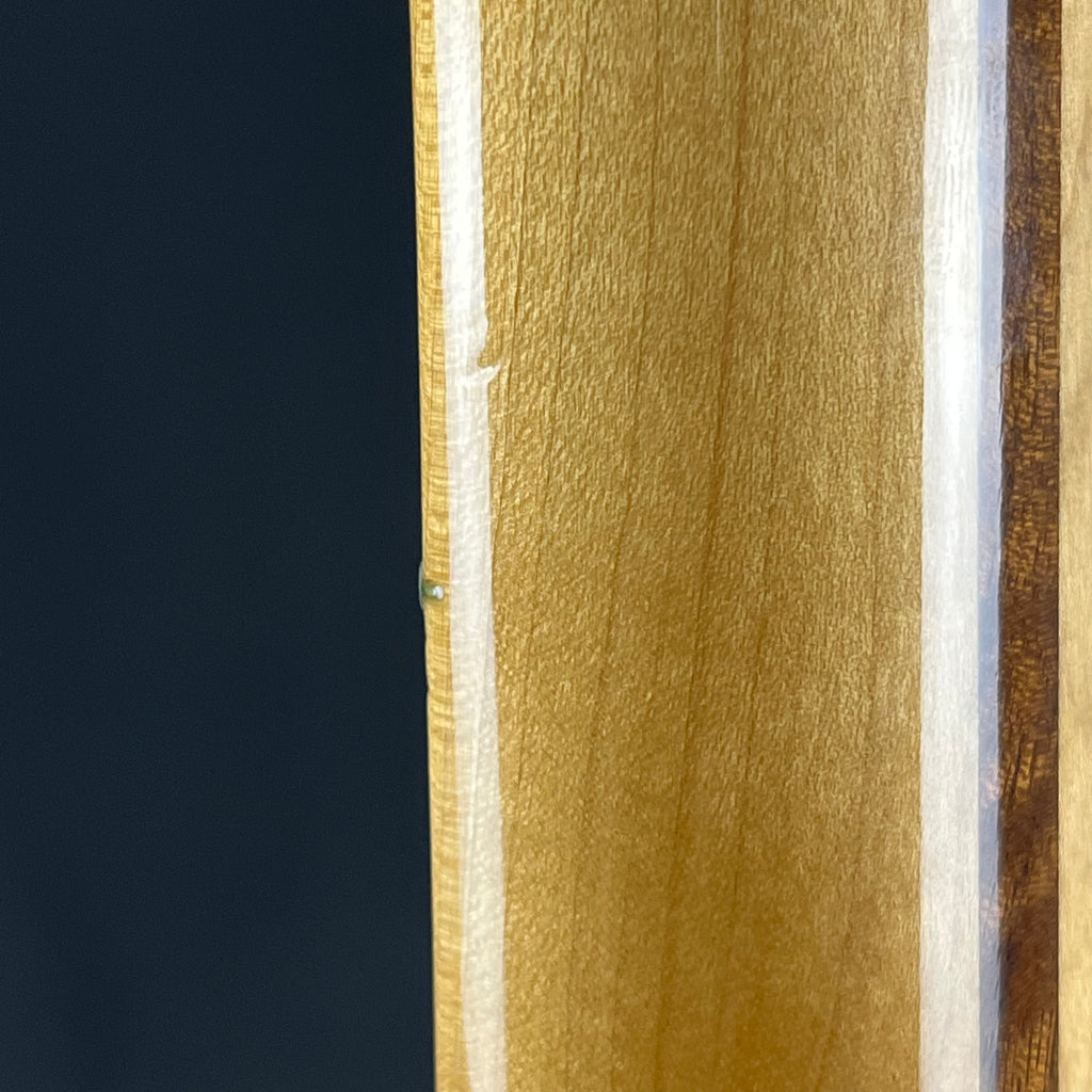 Fender Roland G-5 VG Stratocaster