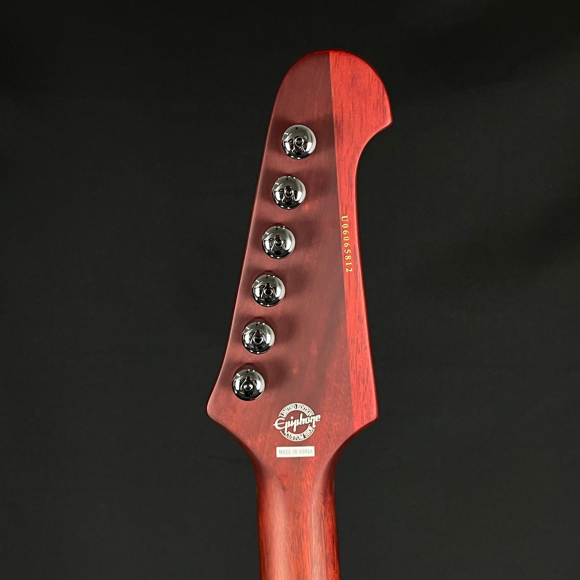 Epiphone Korea Firebird Studio Worn 2006