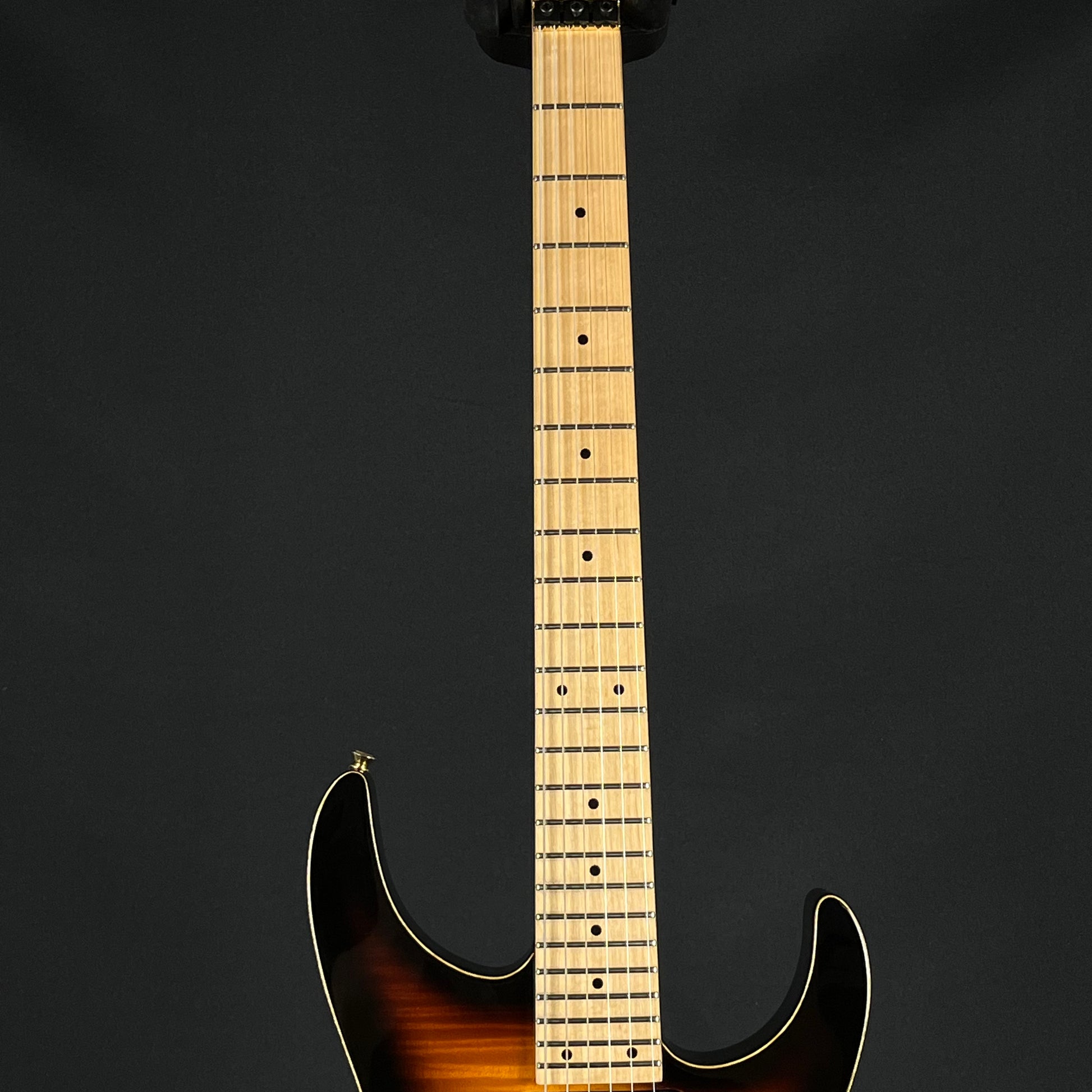 Fernandes FR Standard