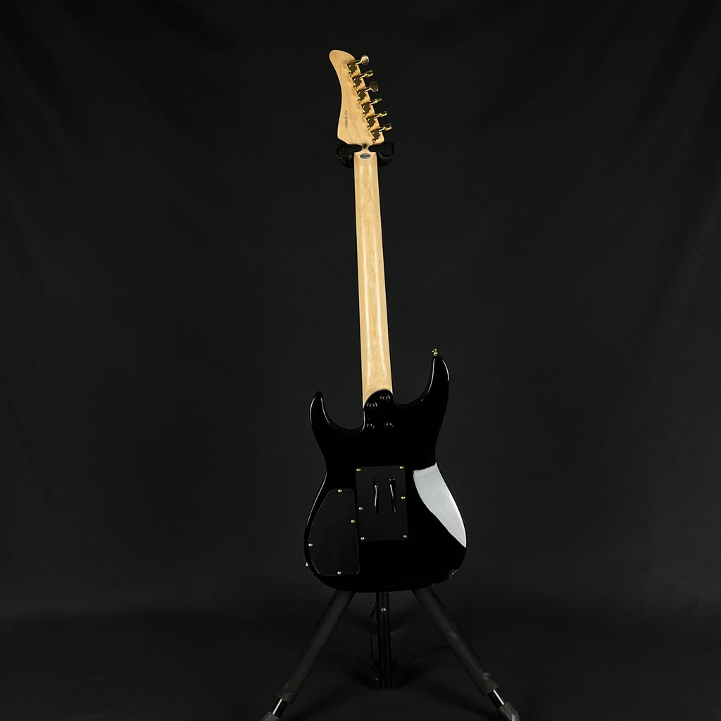 Fernandes FR Standard
