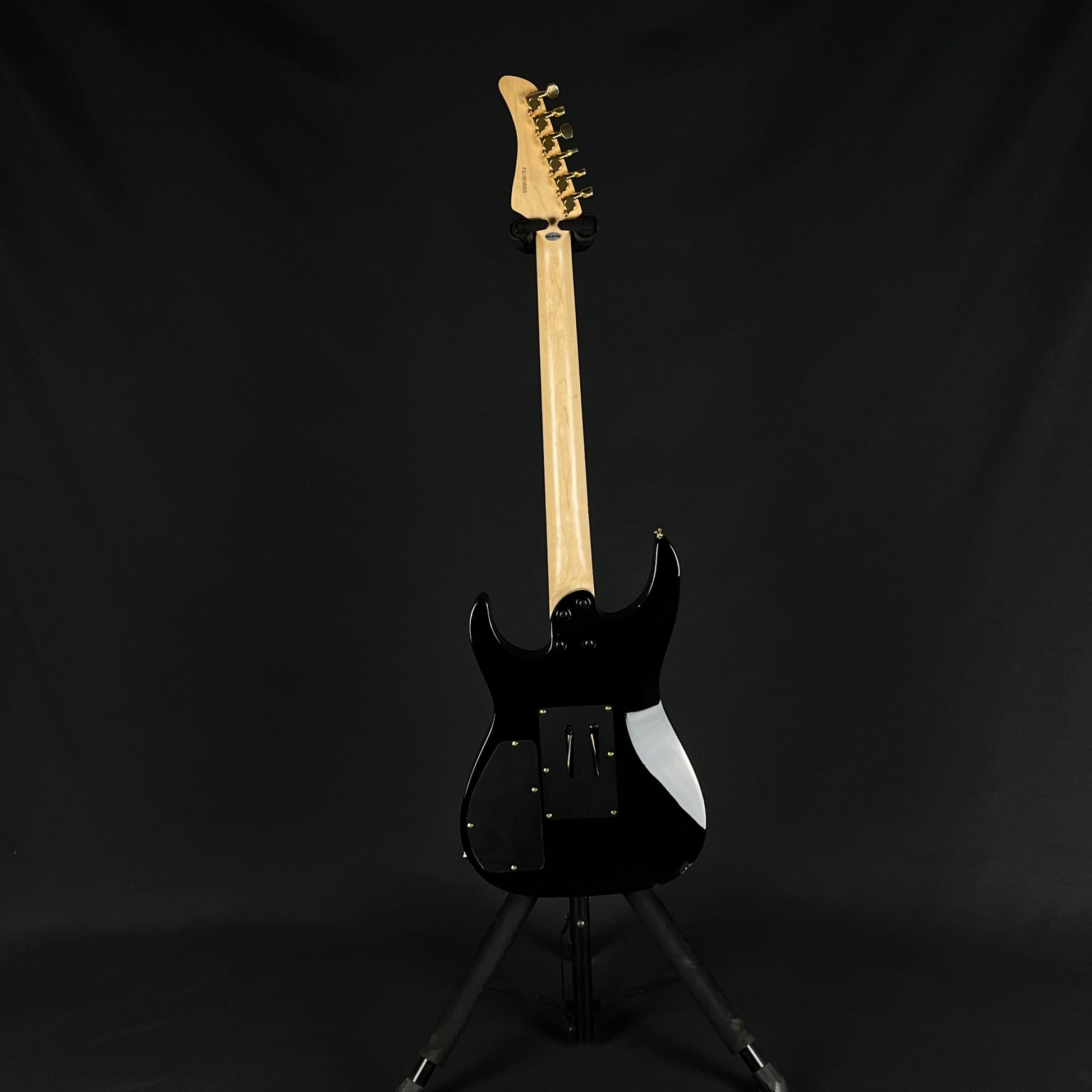 Fernandes FR Standard