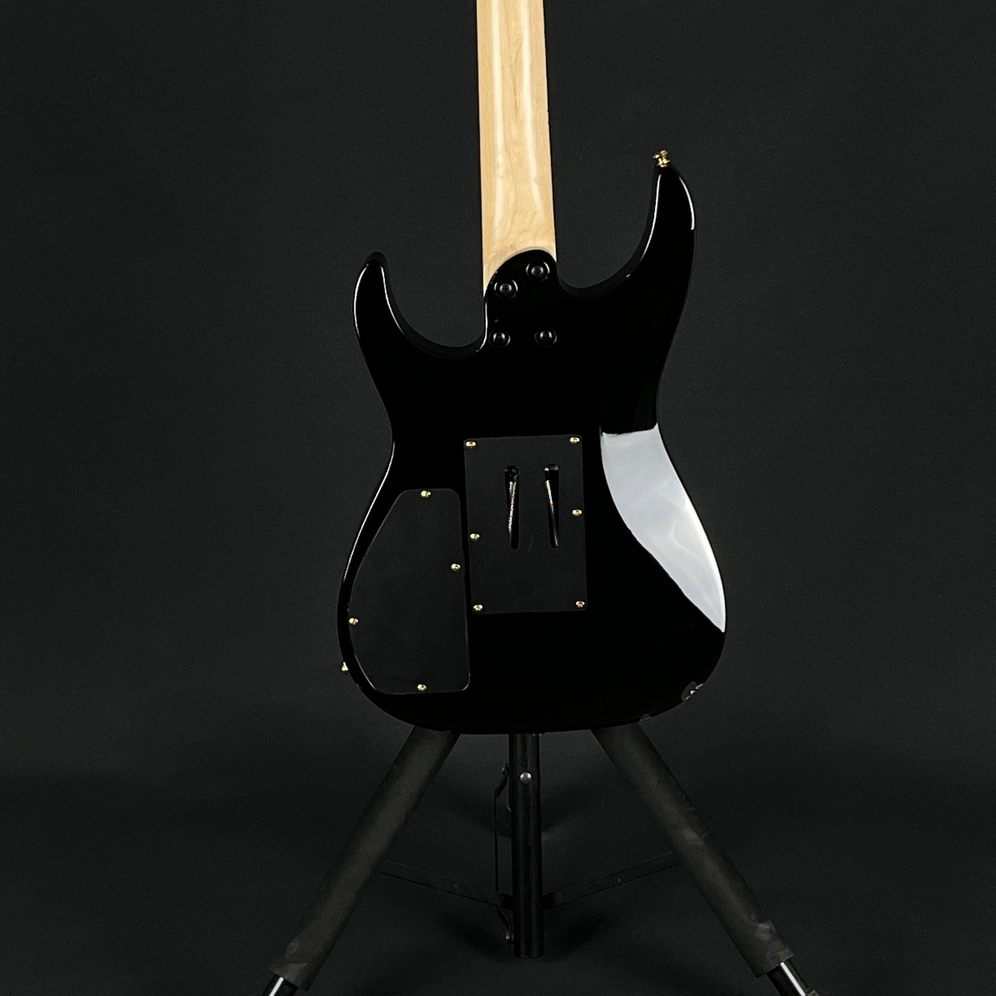 Fernandes FR Standard