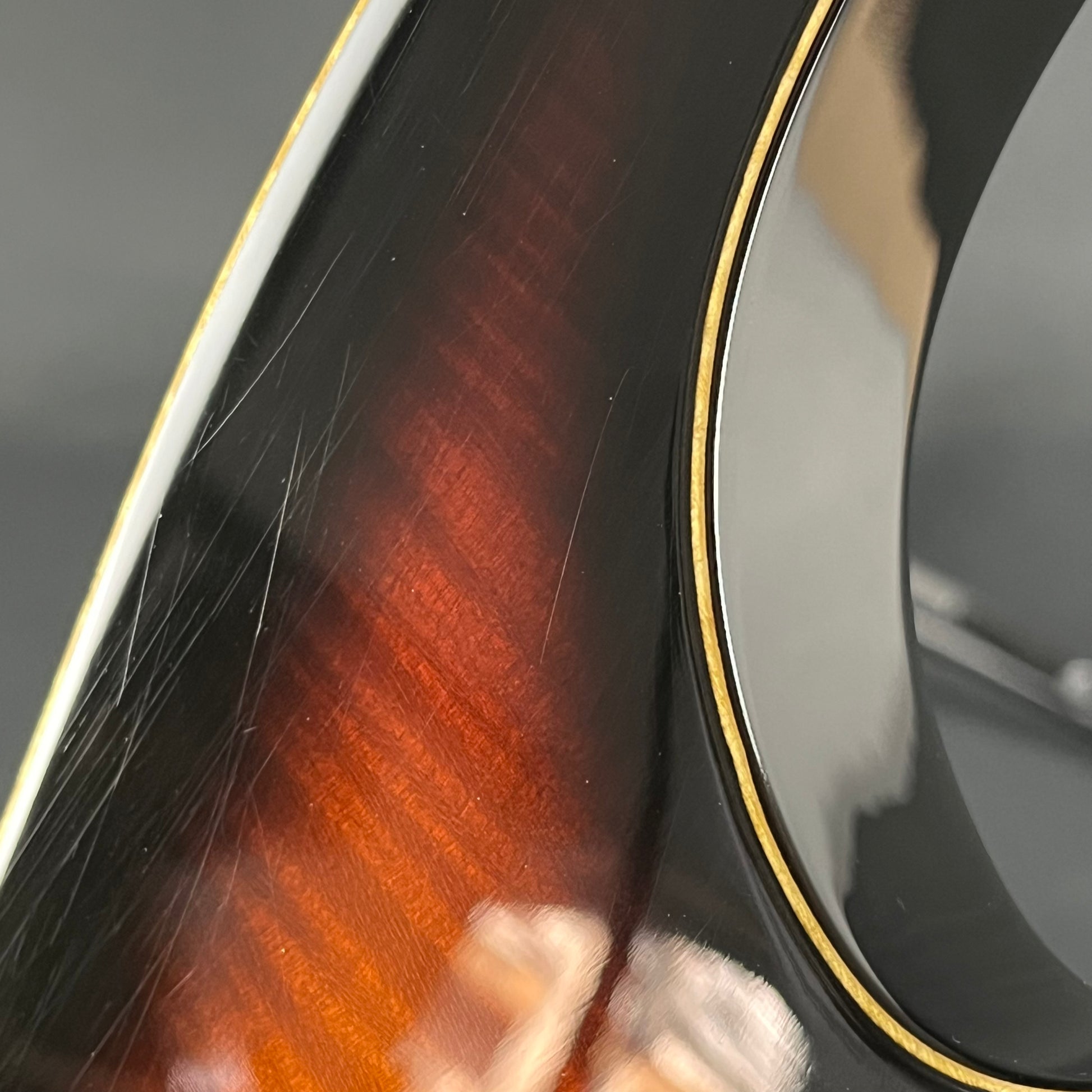 Fernandes FR Standard