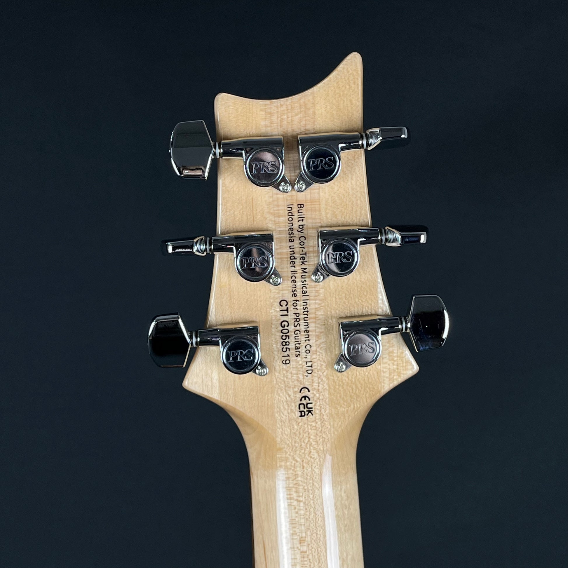 PRS SE Custom 24 2024