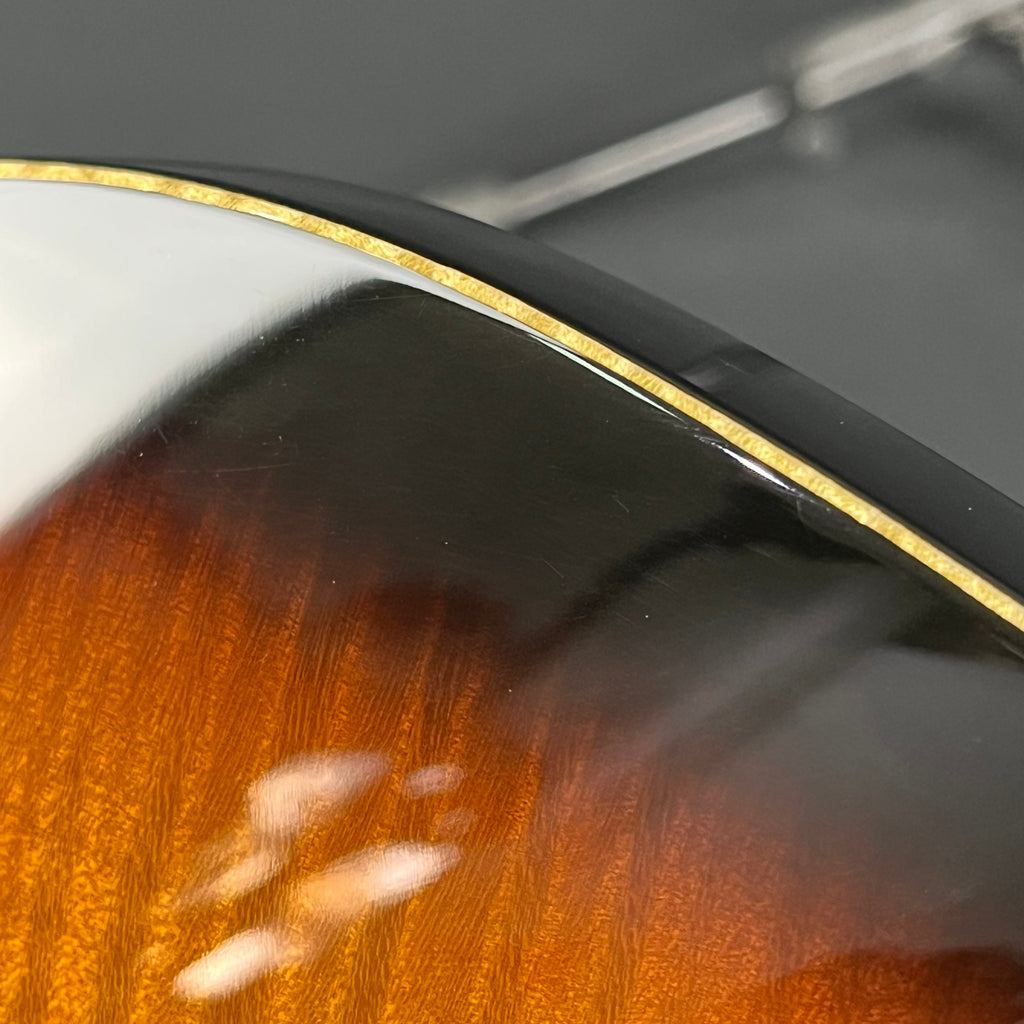 Fernandes FR Standard