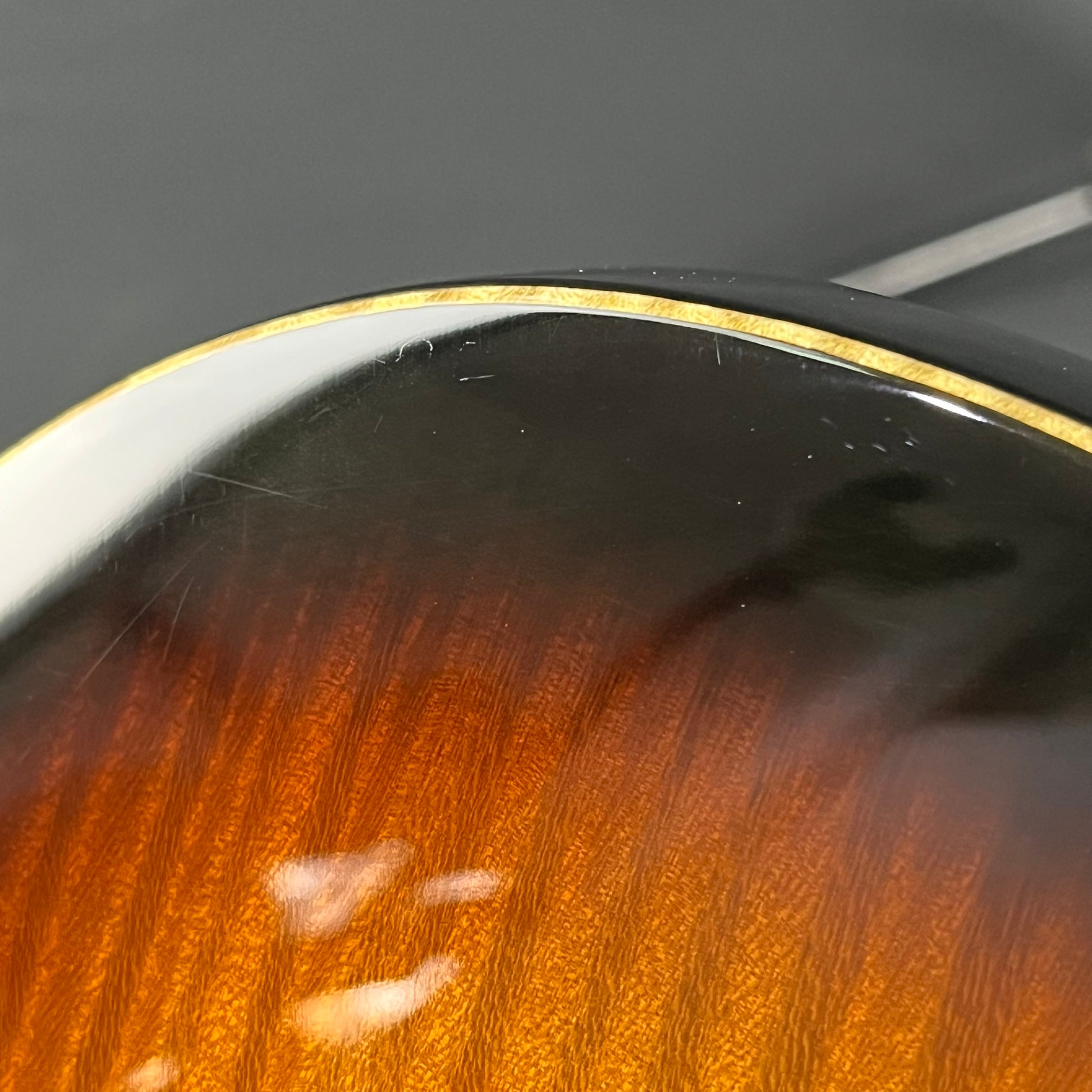 Fernandes FR Standard