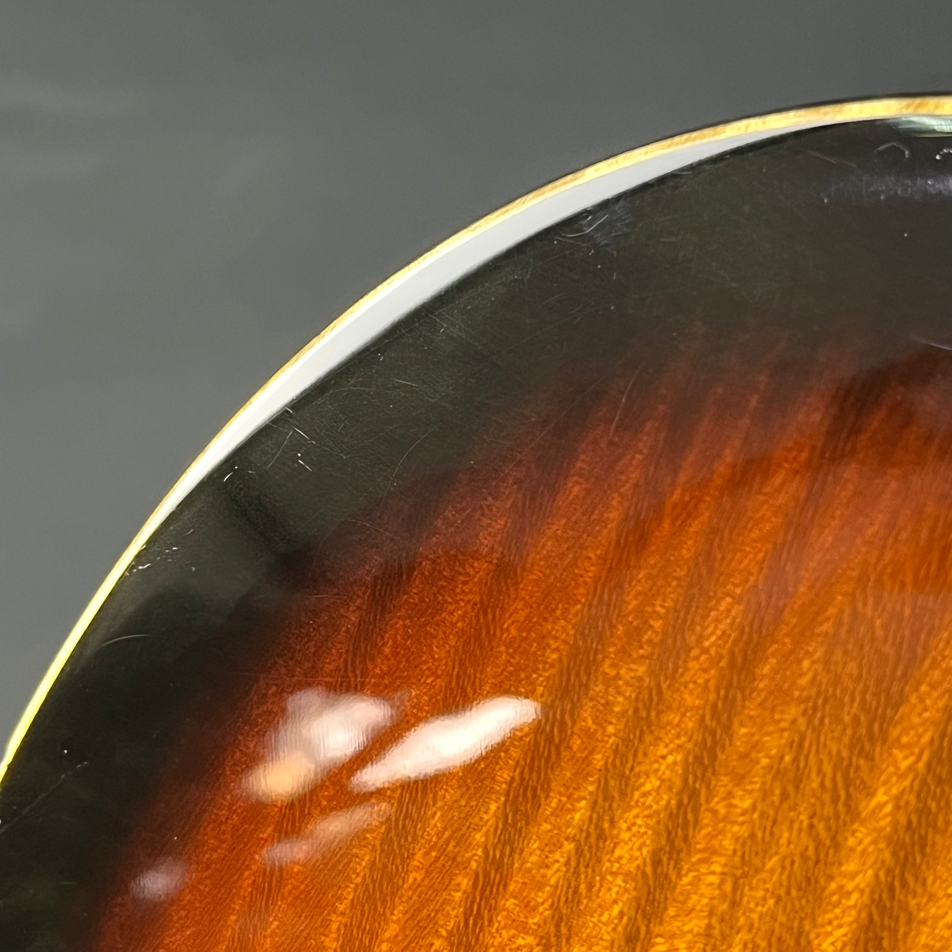 Fernandes FR Standard