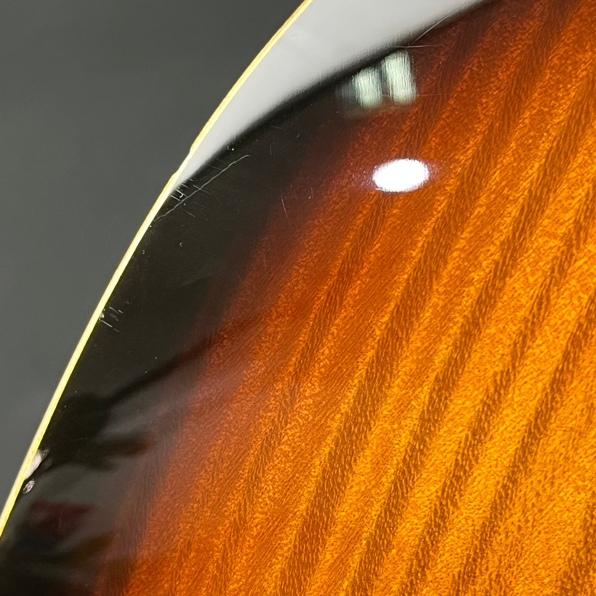 Fernandes FR Standard