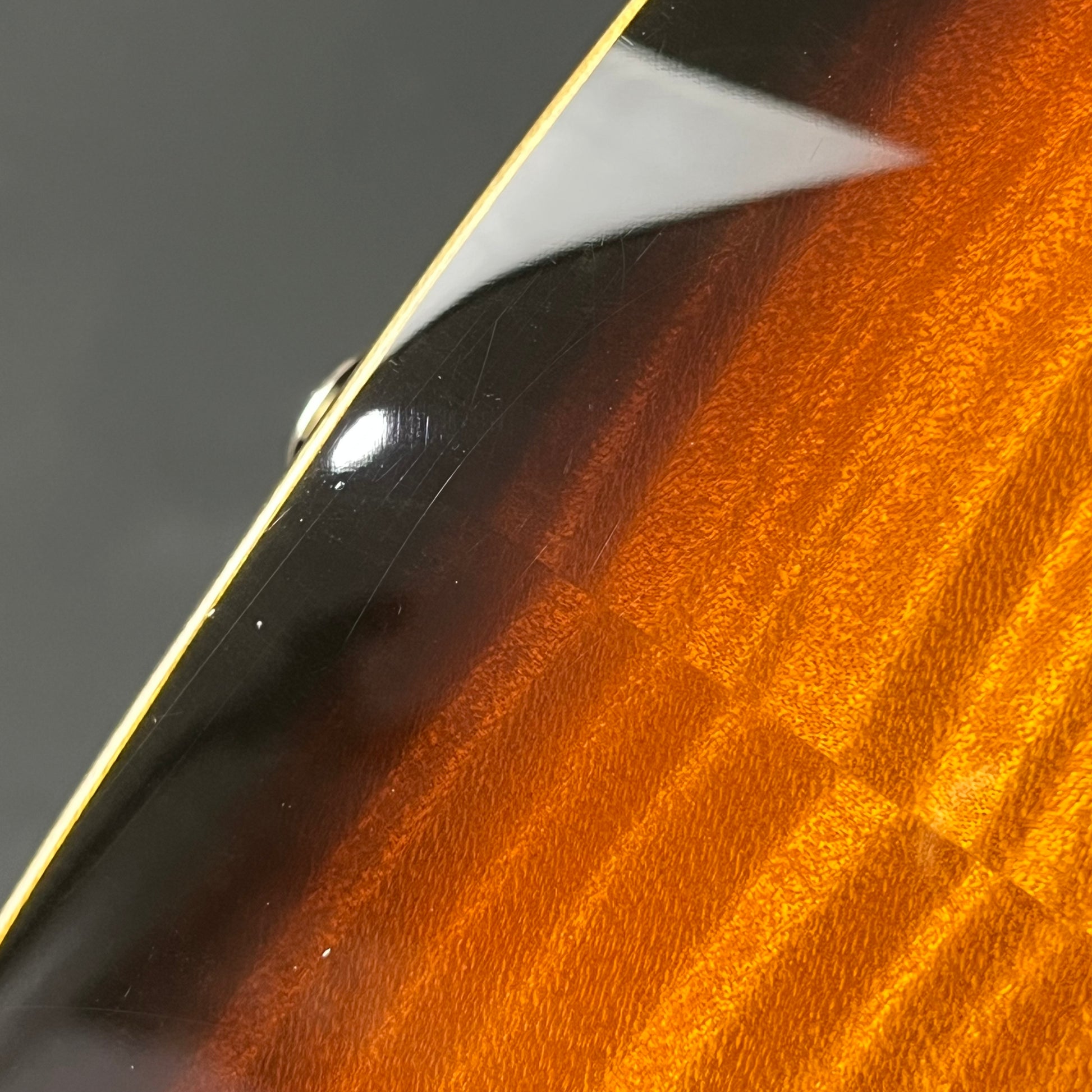 Fernandes FR Standard