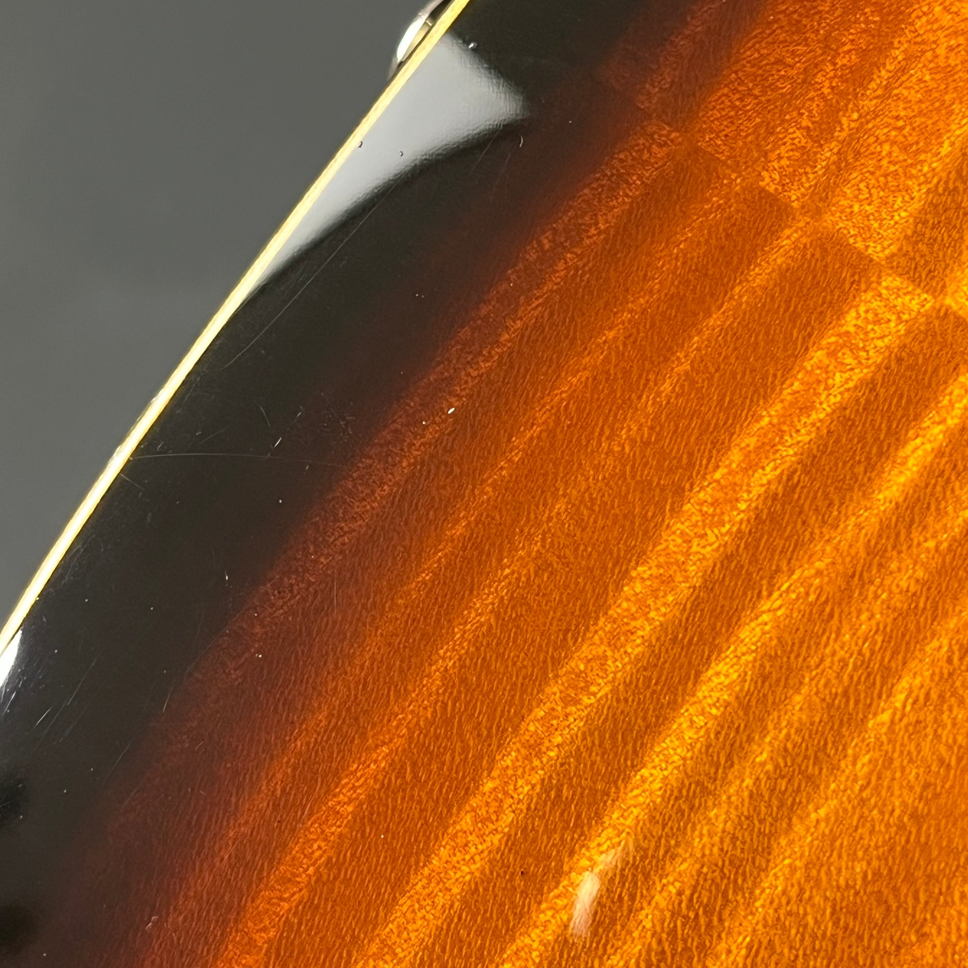 Fernandes FR Standard