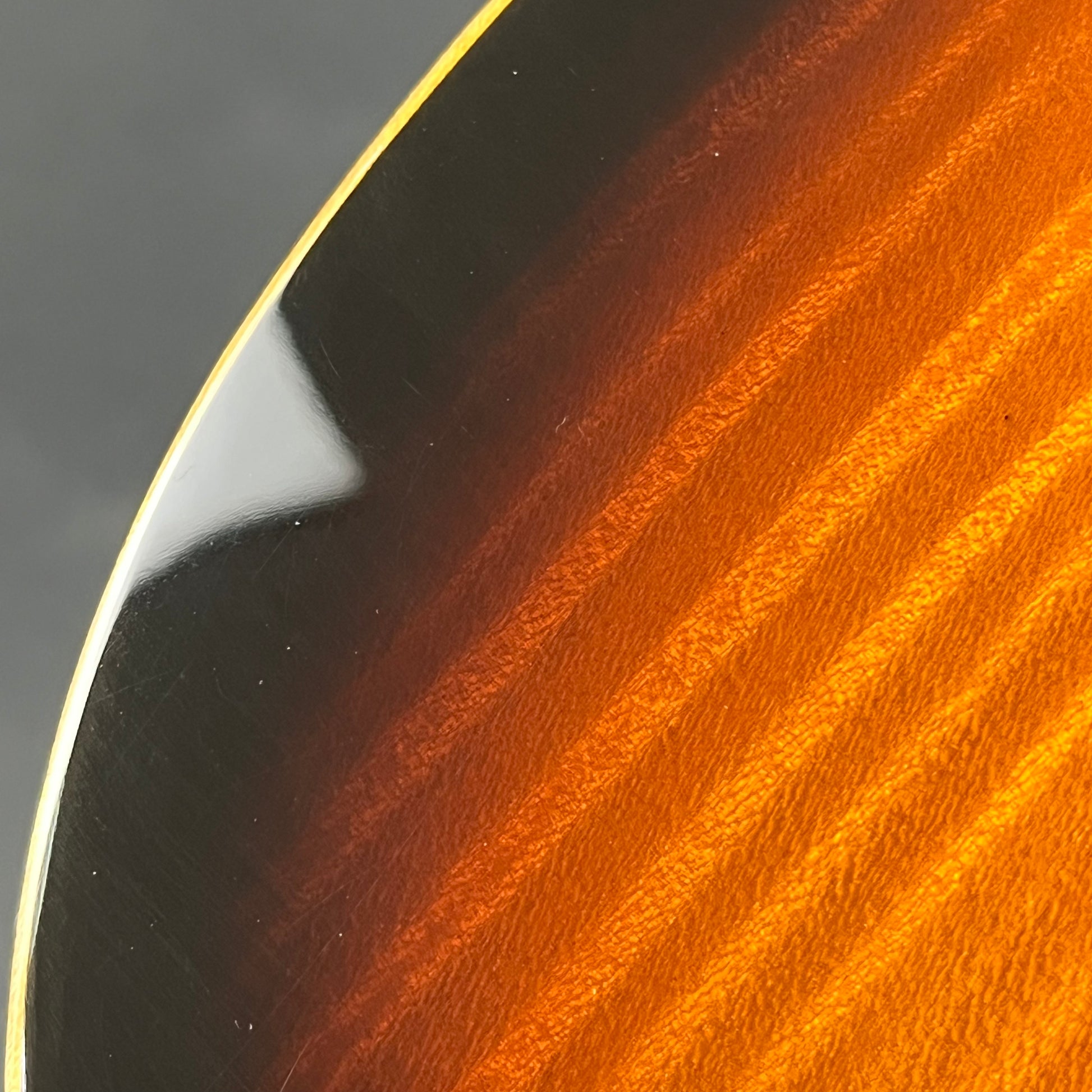 Fernandes FR Standard