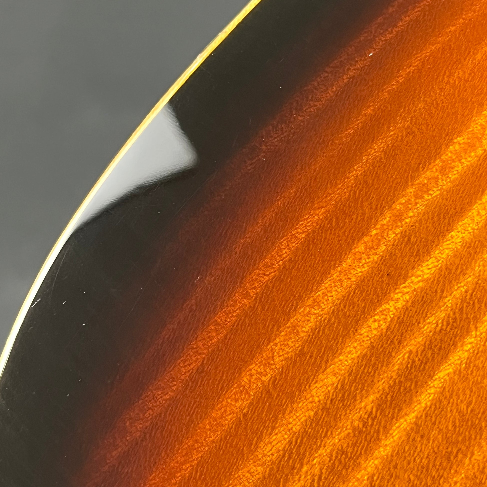 Fernandes FR Standard