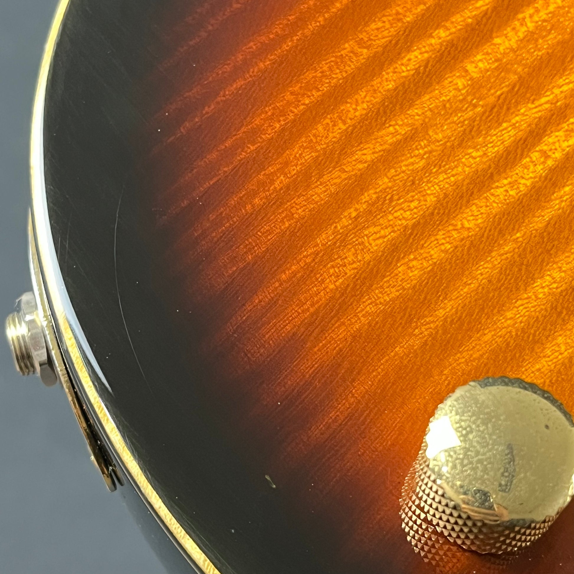 Fernandes FR Standard