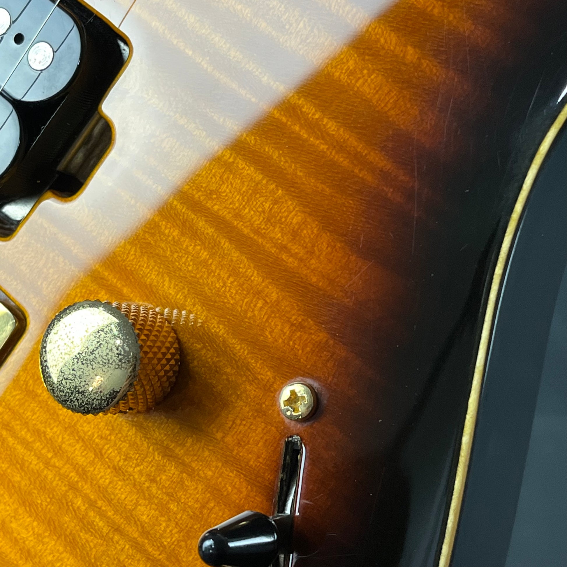 Fernandes FR Standard