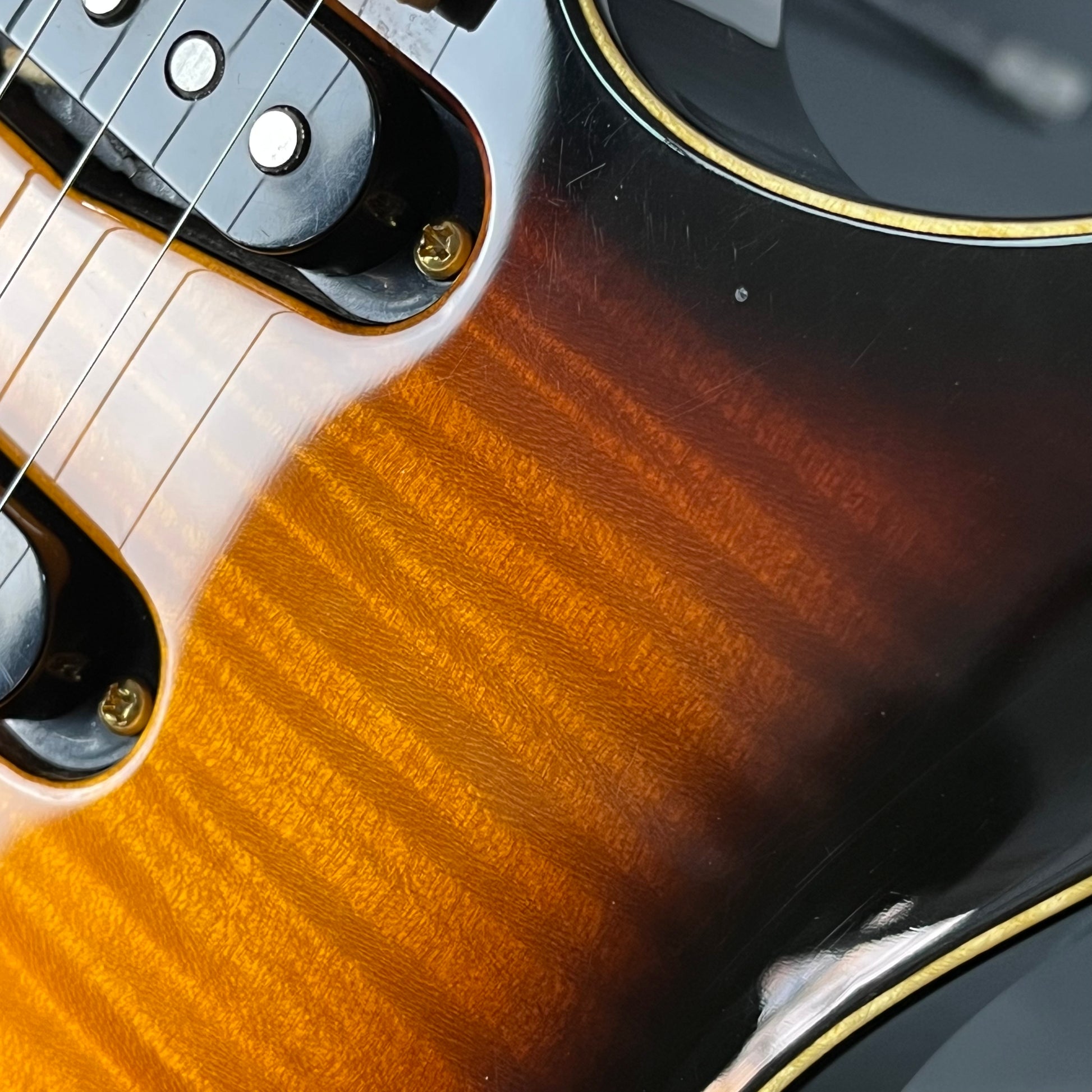 Fernandes FR Standard