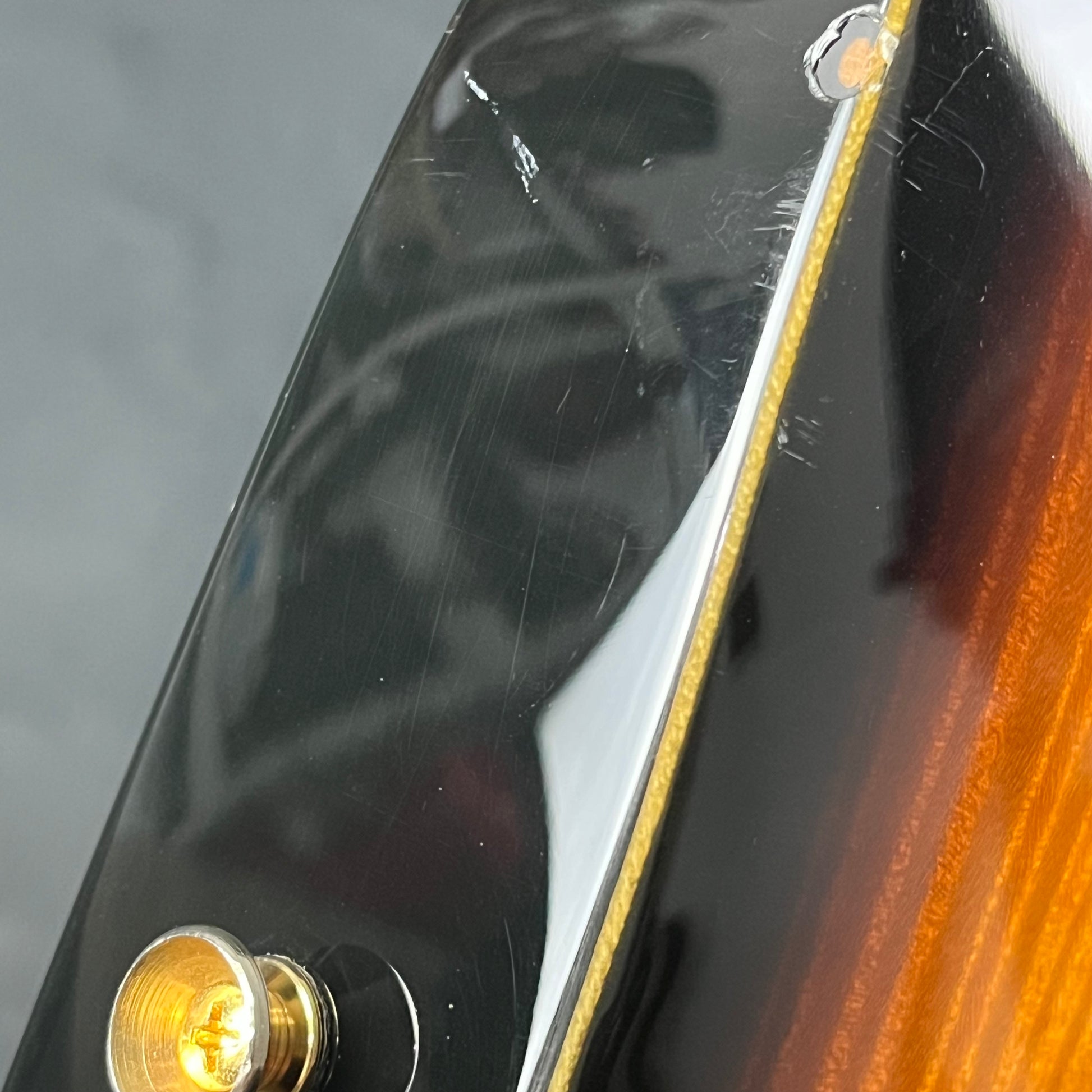 Fernandes FR Standard