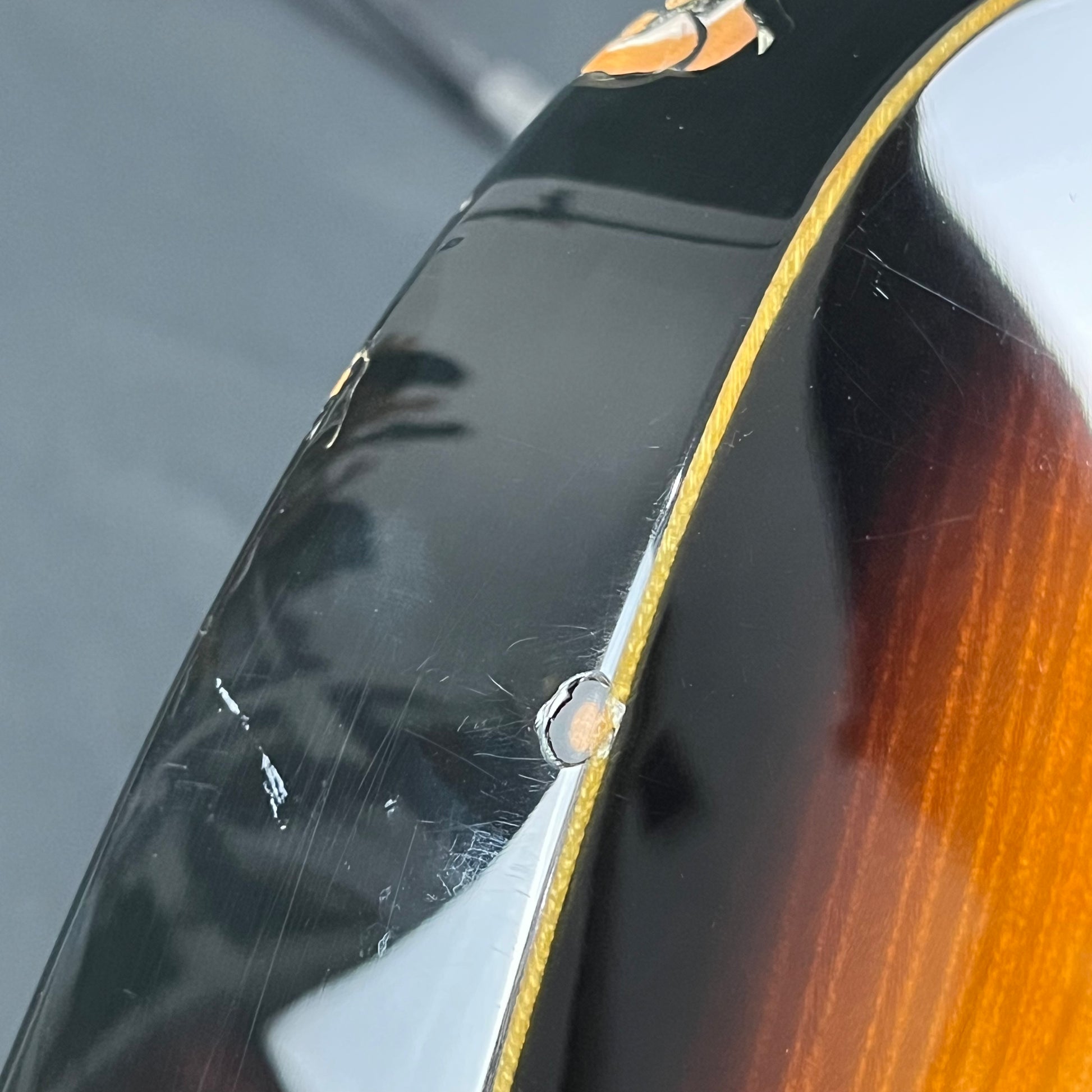 Fernandes FR Standard