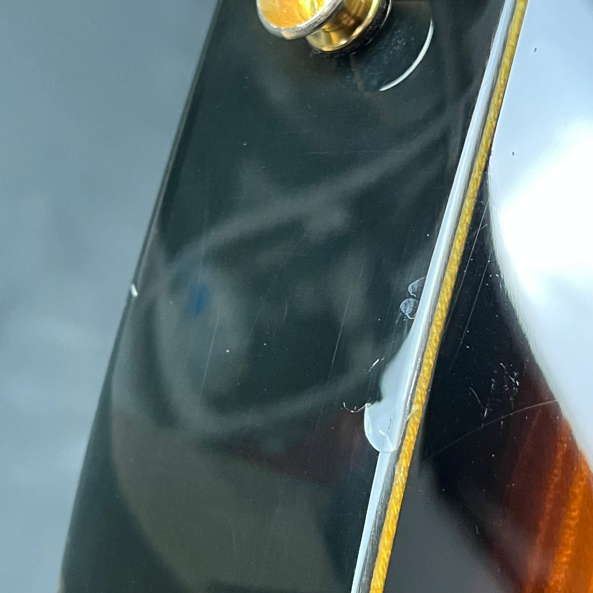 Fernandes FR Standard