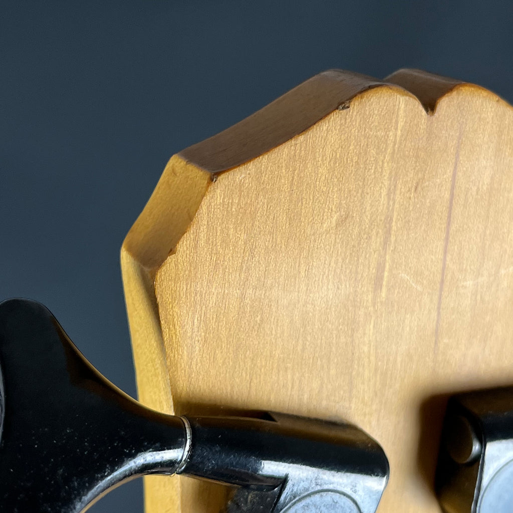 Epiphone Korea Les Paul Special Bass