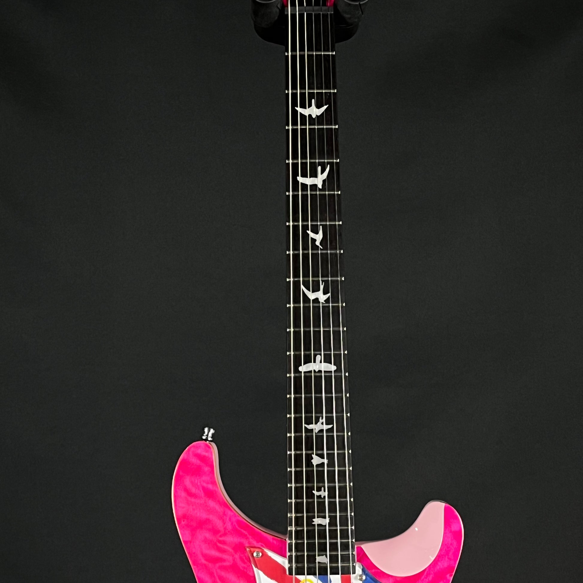 PRS SE Custom 24 2010 *MOD*