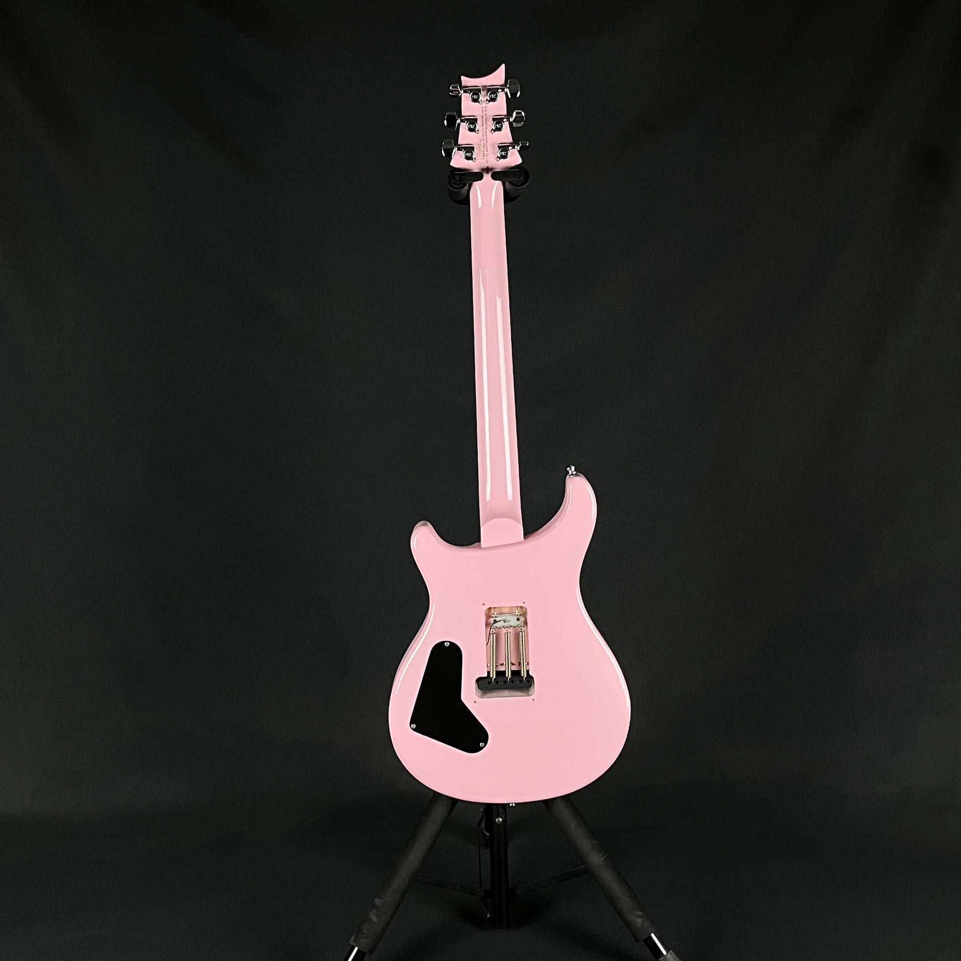 PRS SE Custom 24 2010 *MOD*