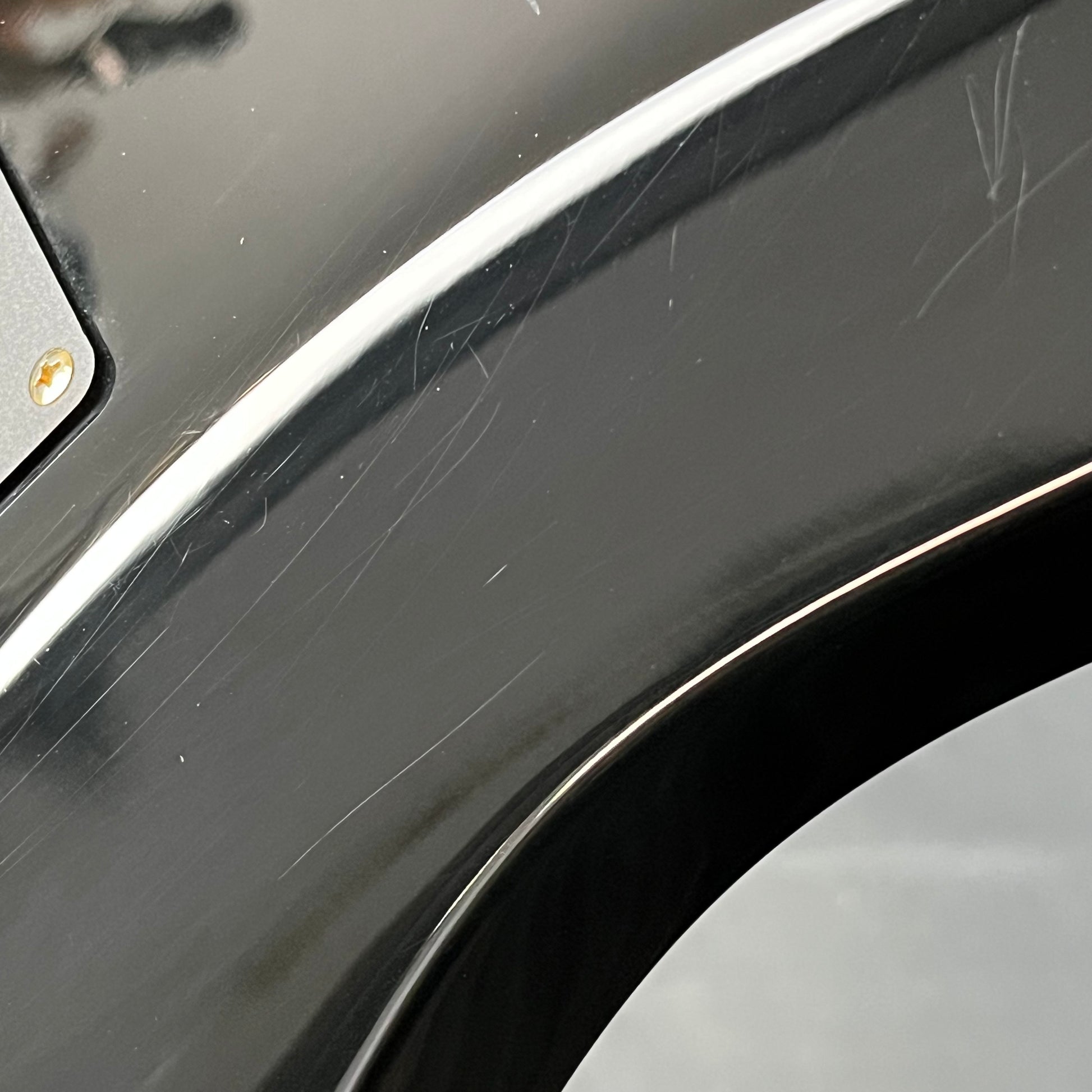 Fernandes FR Standard