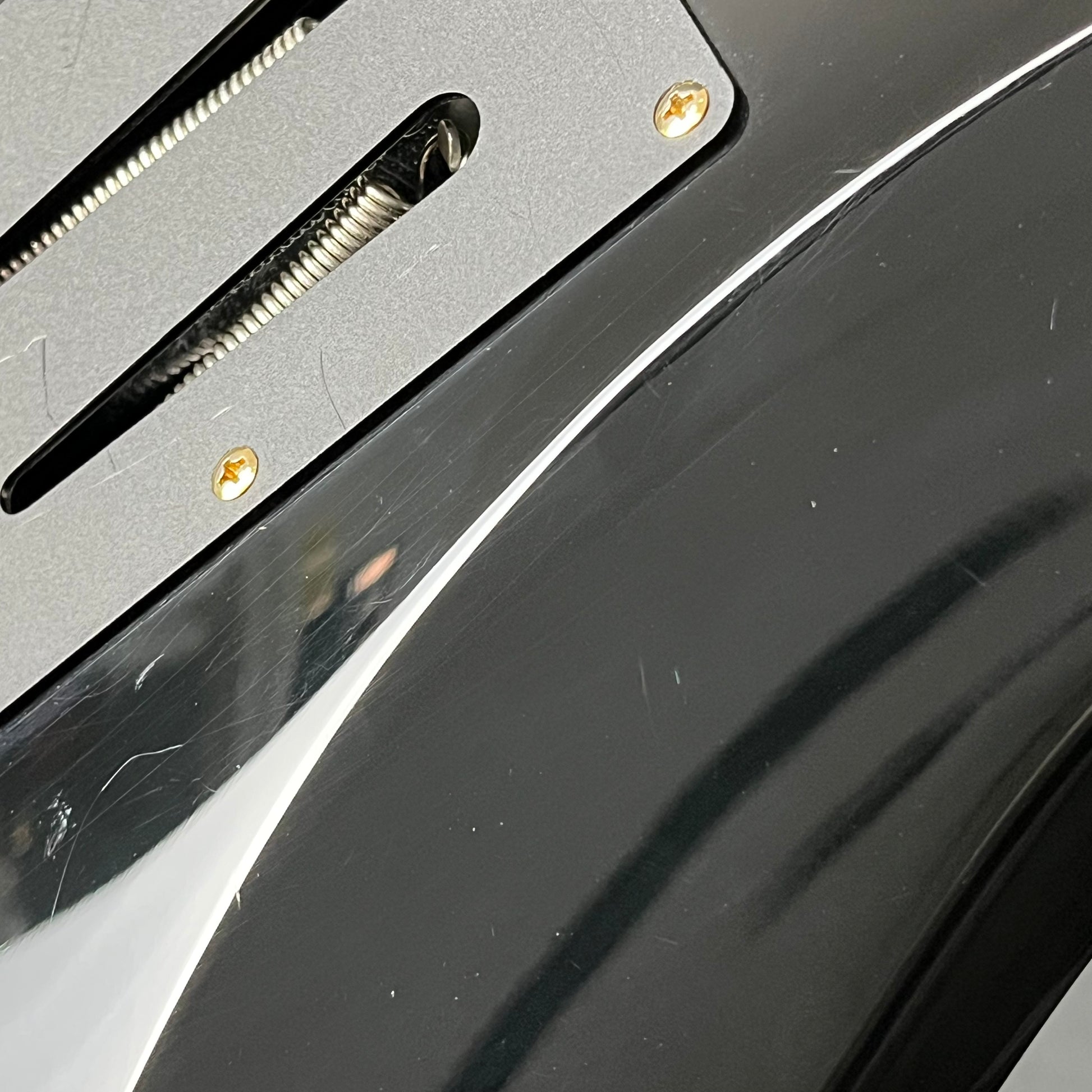 Fernandes FR Standard