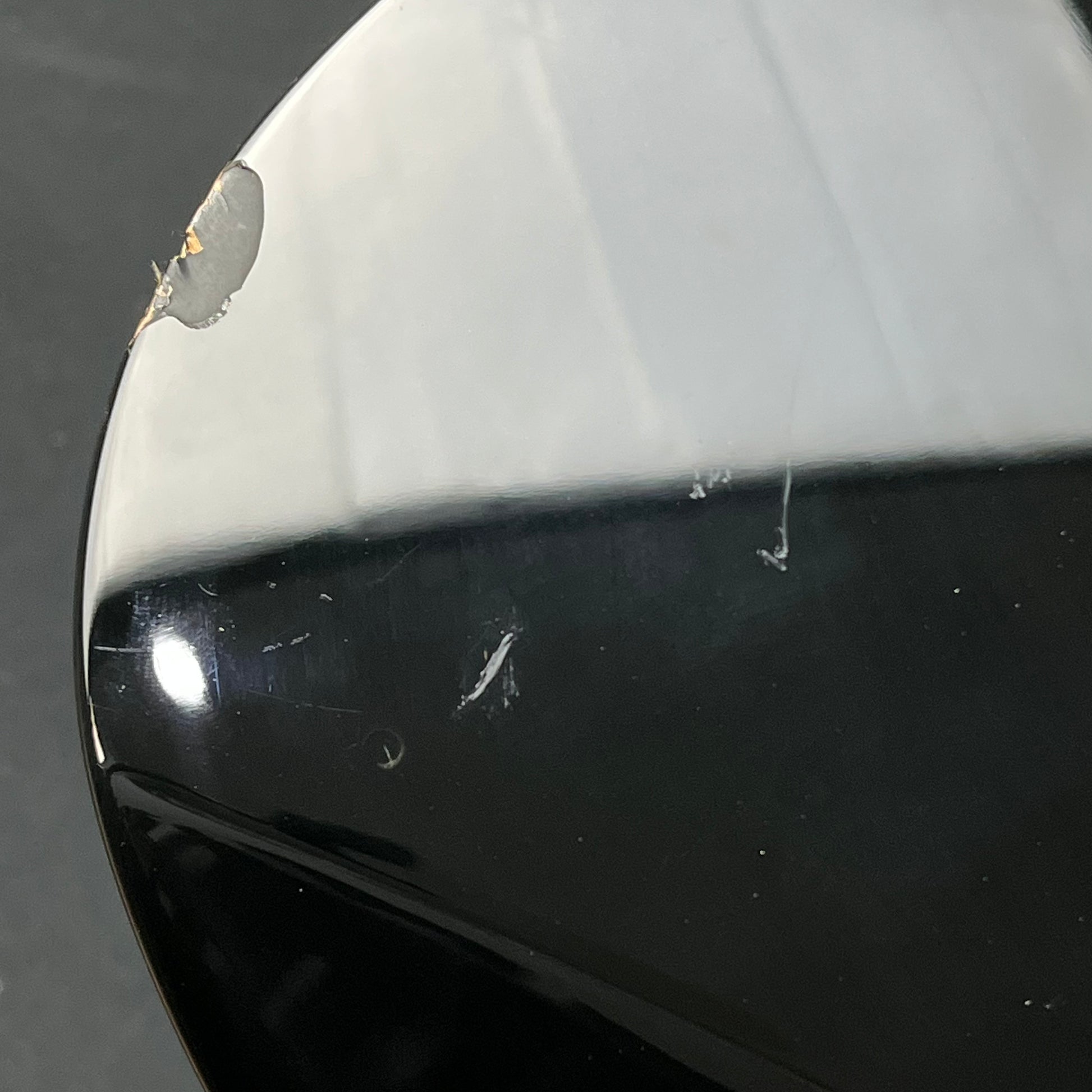 Fernandes FR Standard