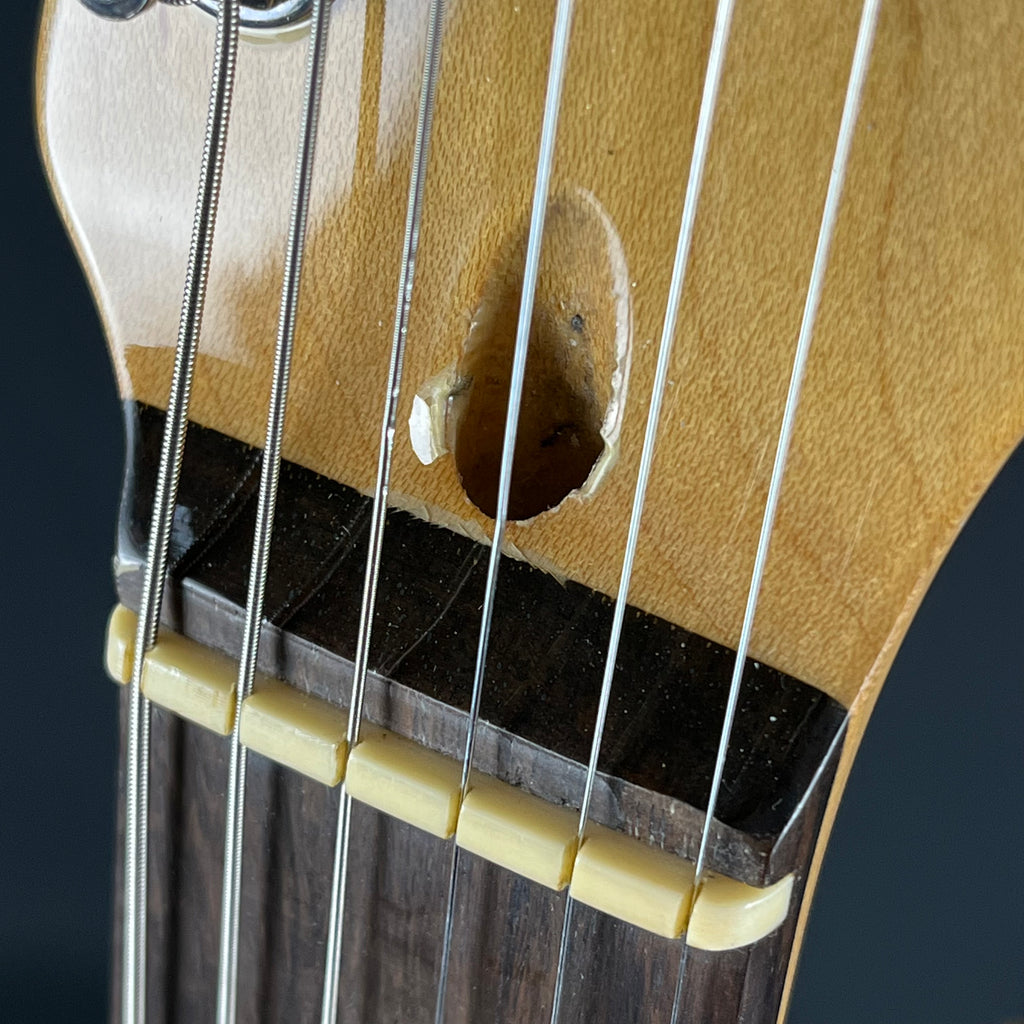 Bacchus Universe Series Stratocaster