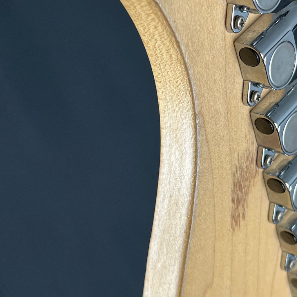 Bacchus Universe Series Stratocaster