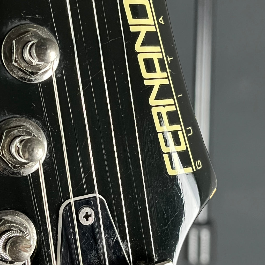 Fernandes FGZ-480