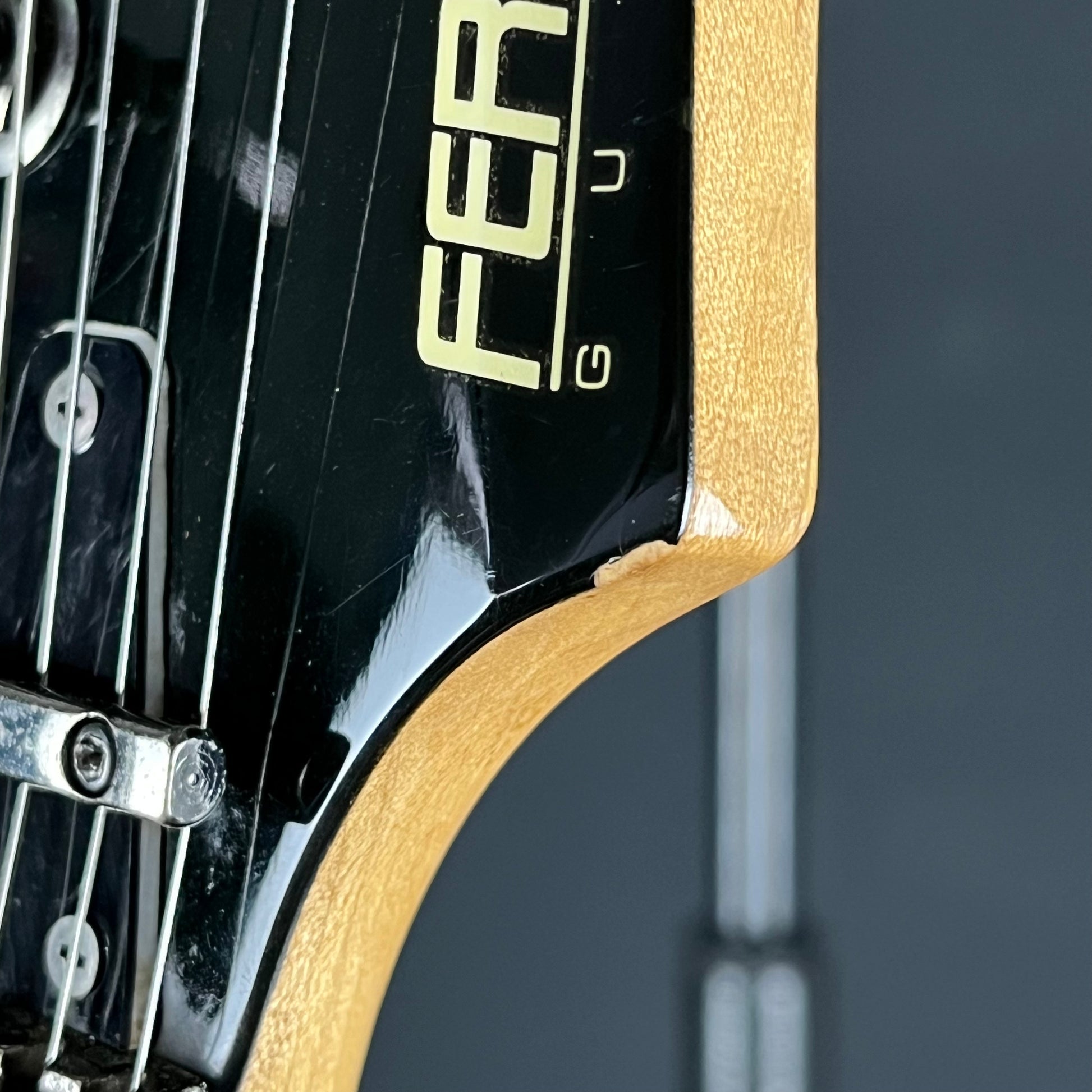 Fernandes FGZ-480
