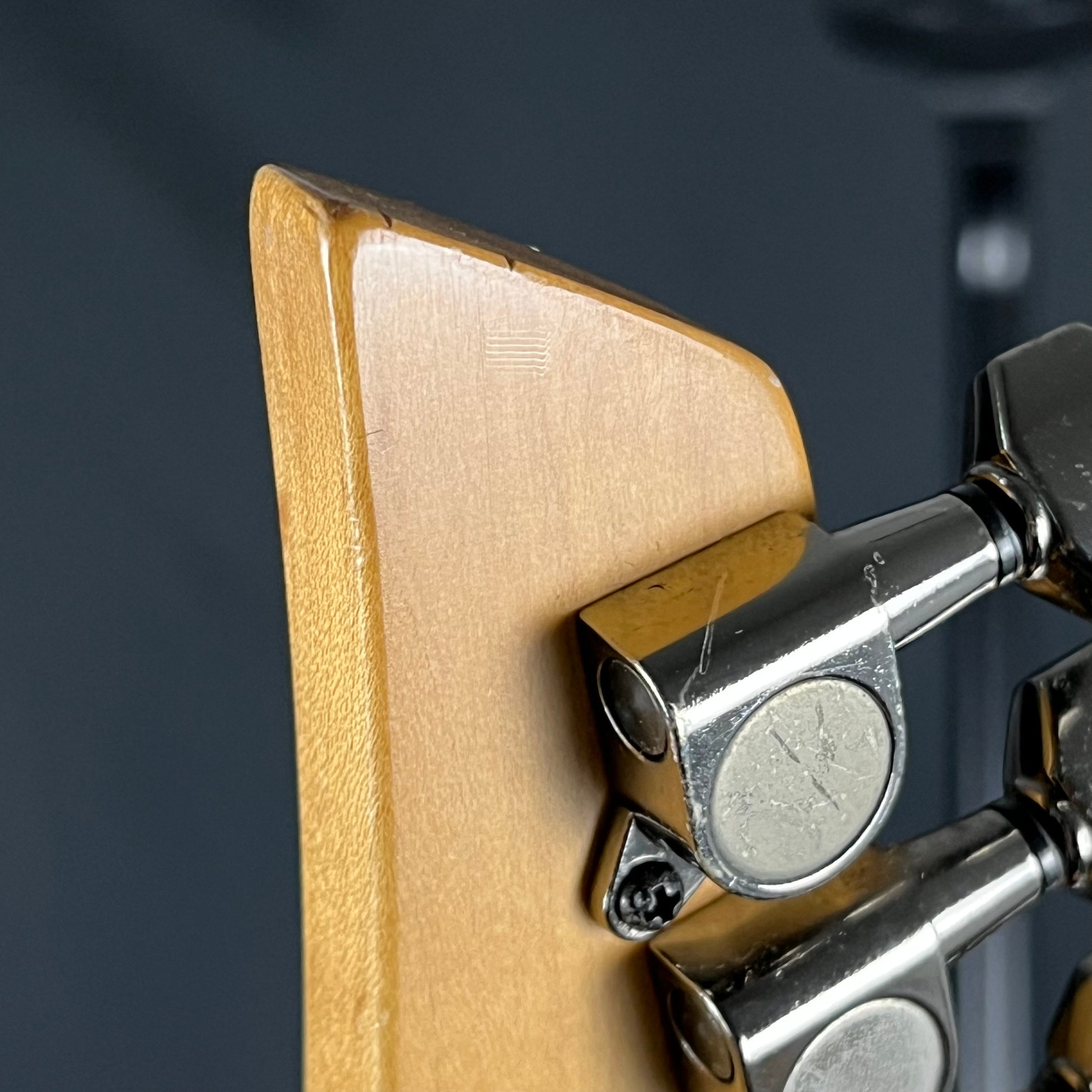 Fernandes FGZ-480