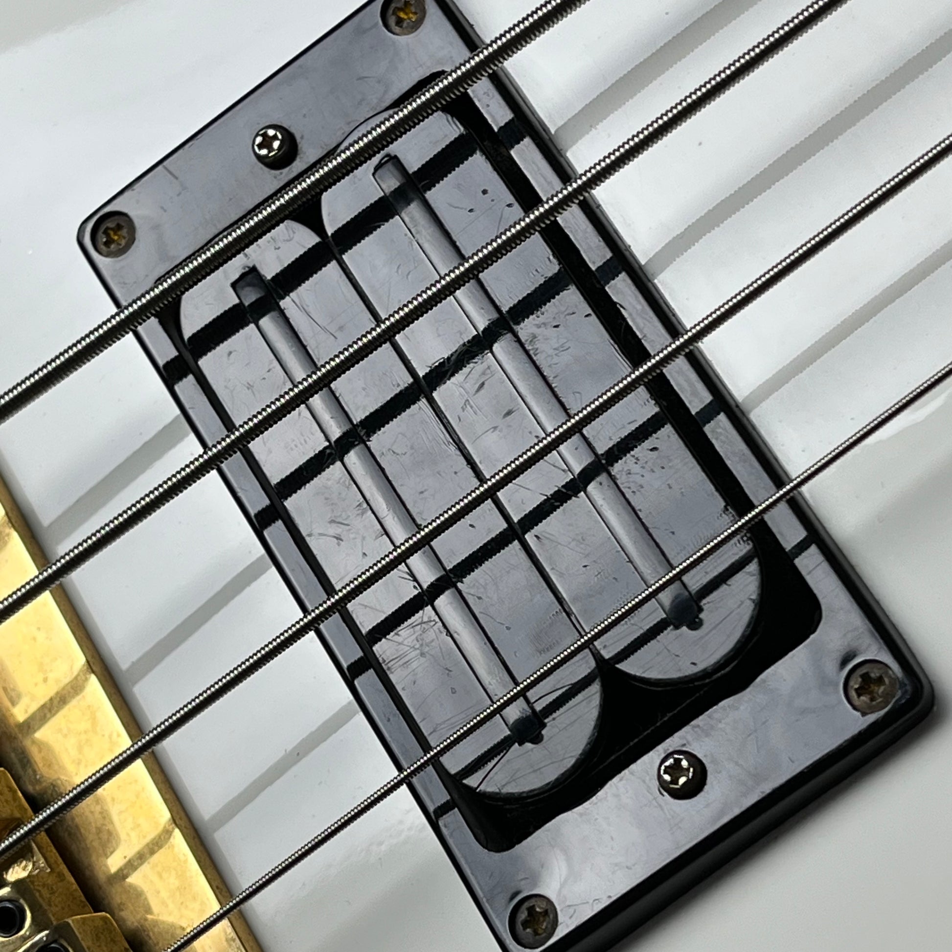 GrassRoots LP Bass