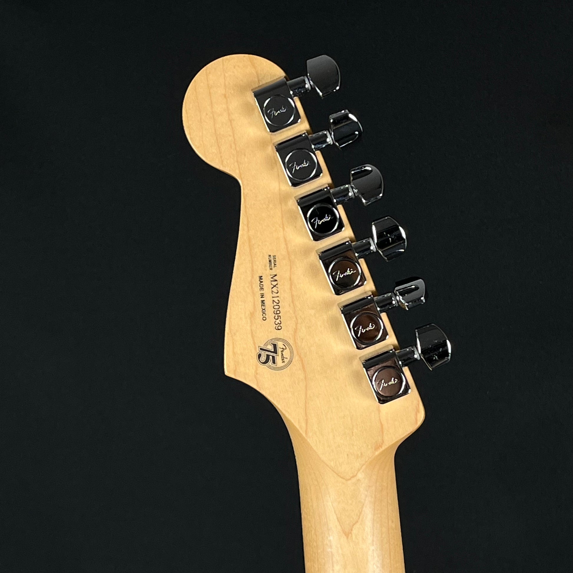 Fender Player Stratocaster HSS SILVER MN