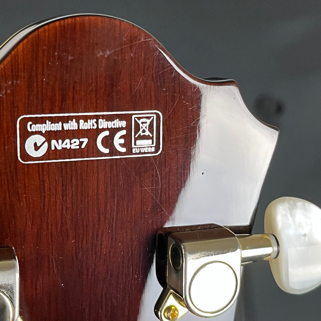 Ibanez AF95-VLS