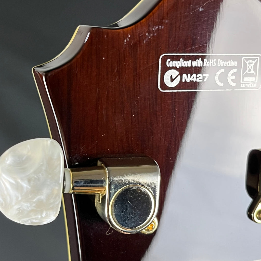 Ibanez AF95-VLS