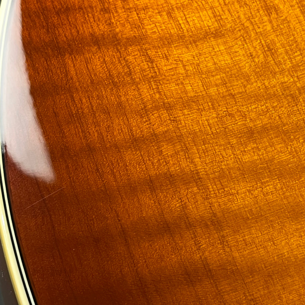 Ibanez AF95-VLS