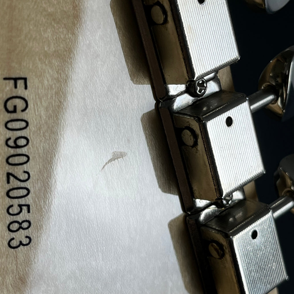 FERNANDES LE-1Z SSH