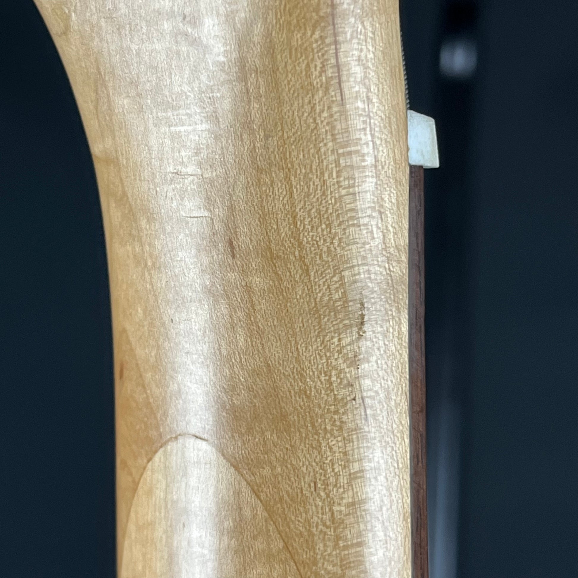 Aria Pro II Bass