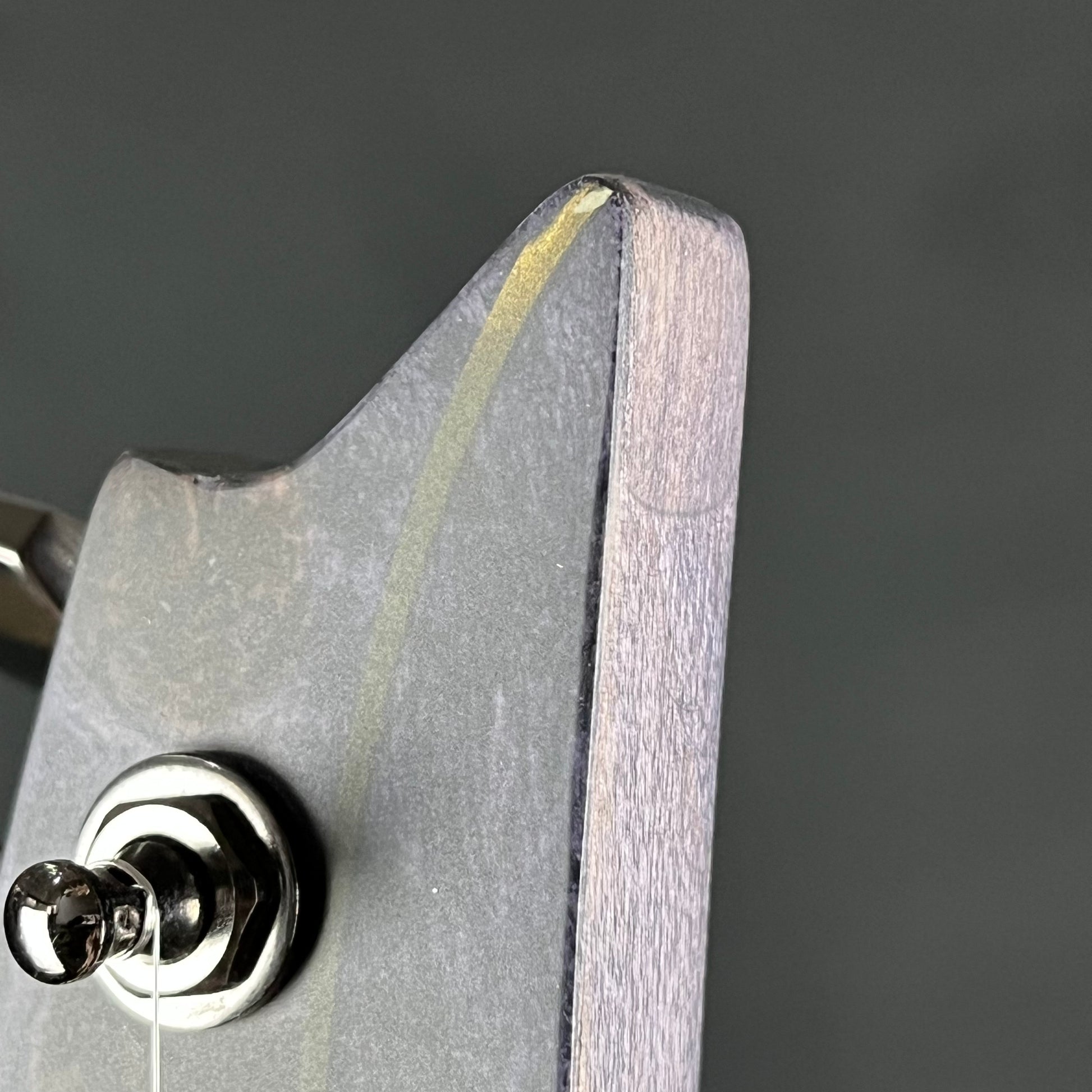 Ibanez RGT1270PB