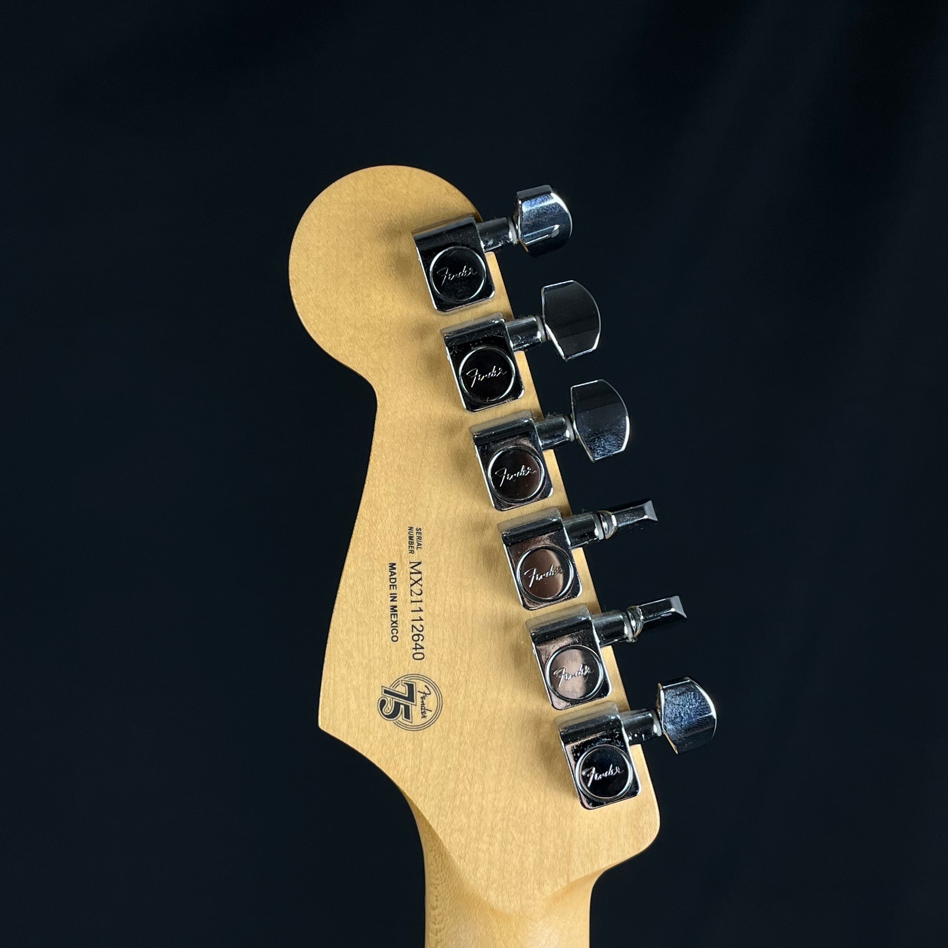Fender Player Stratocaster Plus Top