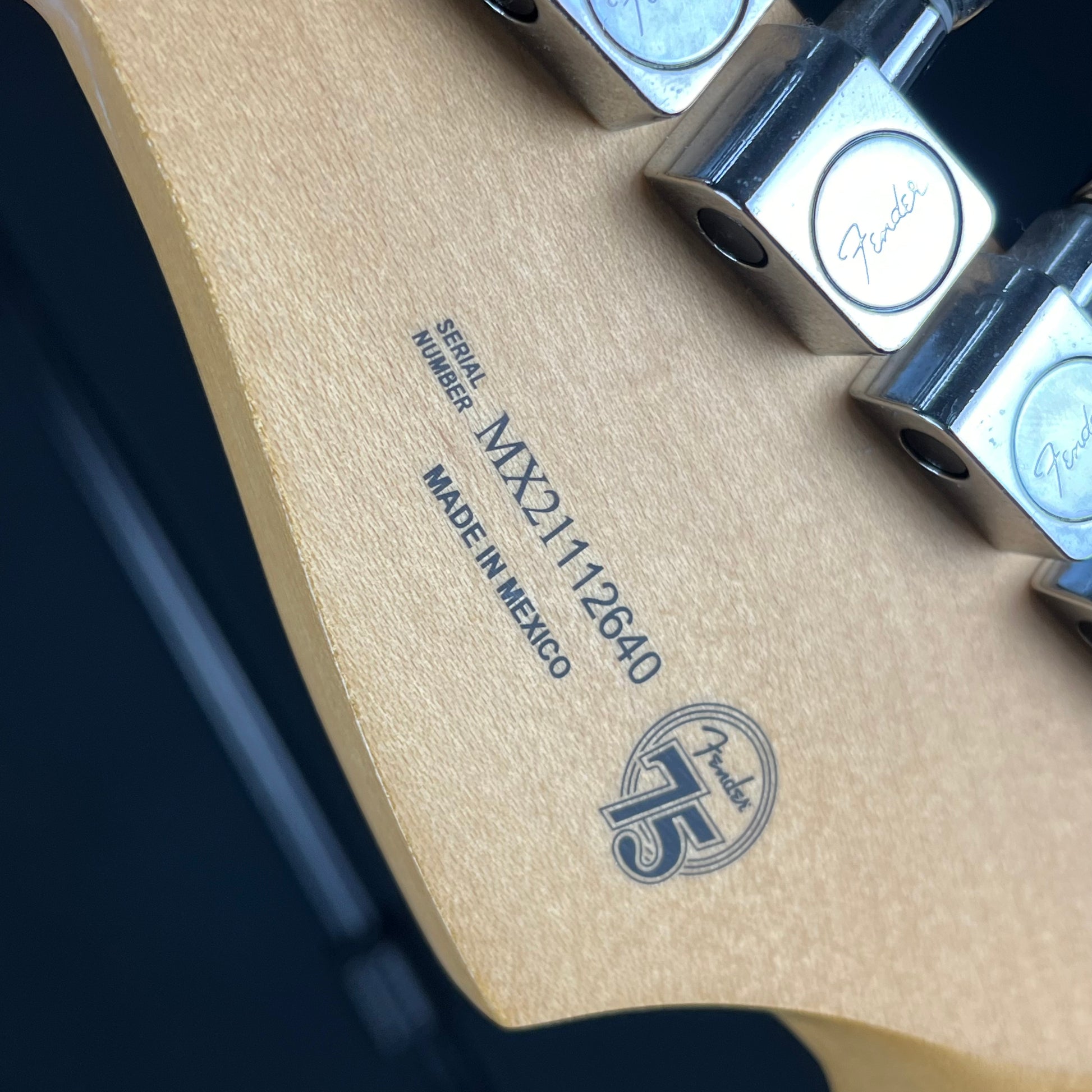 Fender Player Stratocaster Plus Top