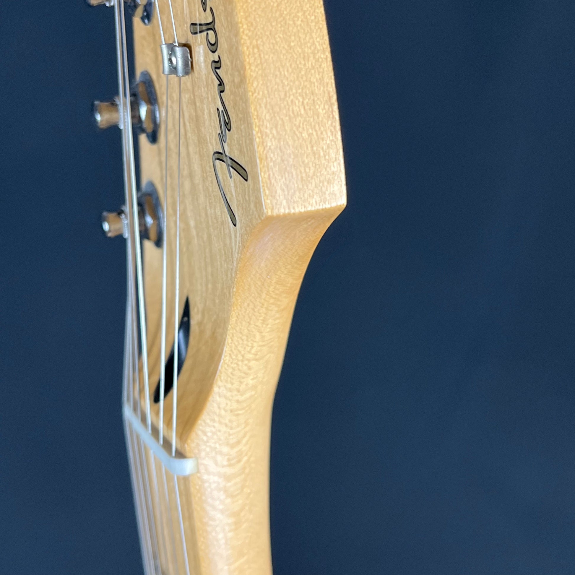 Fender Player Stratocaster Plus Top