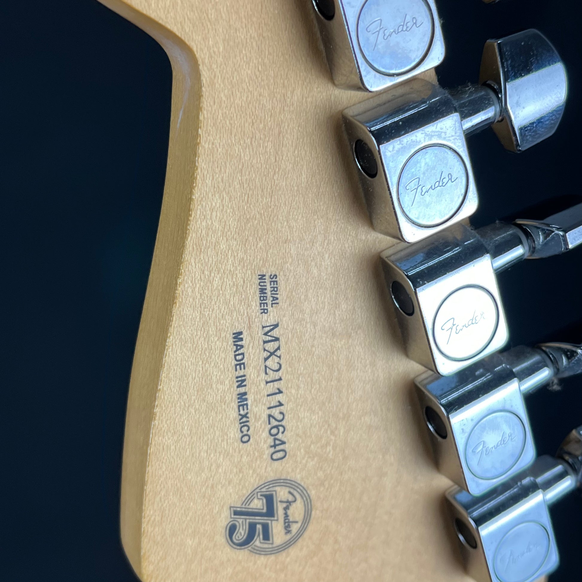 Fender Player Stratocaster Plus Top