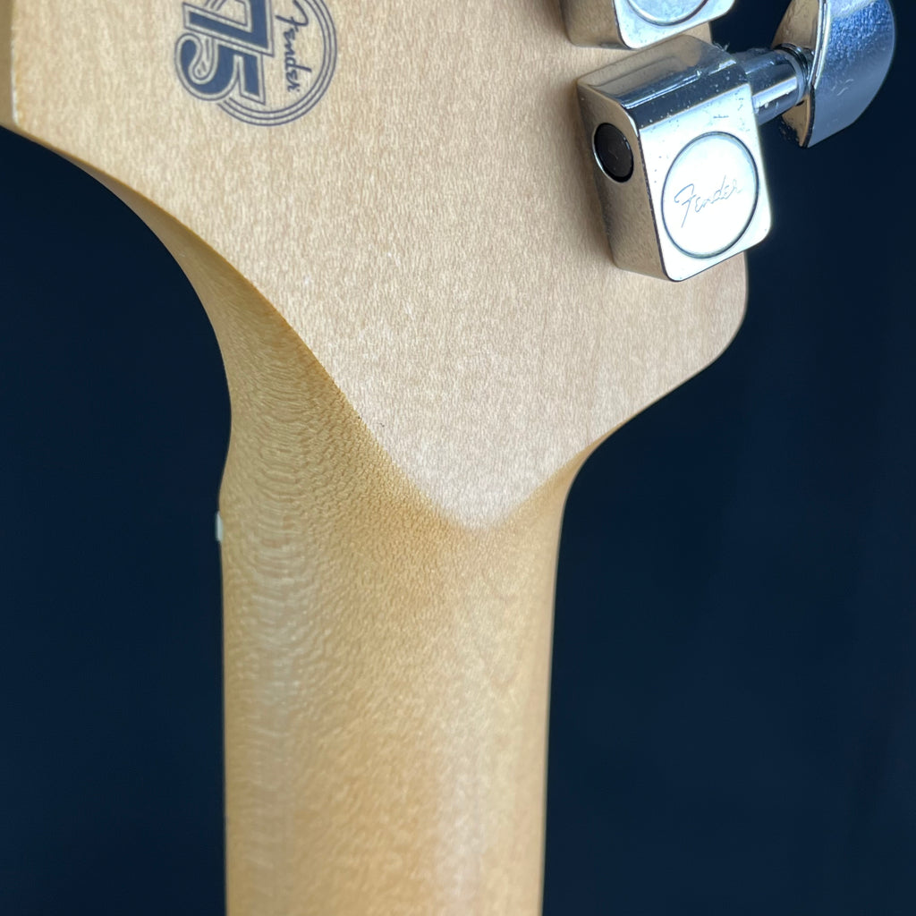 Fender Player Stratocaster Plus Top