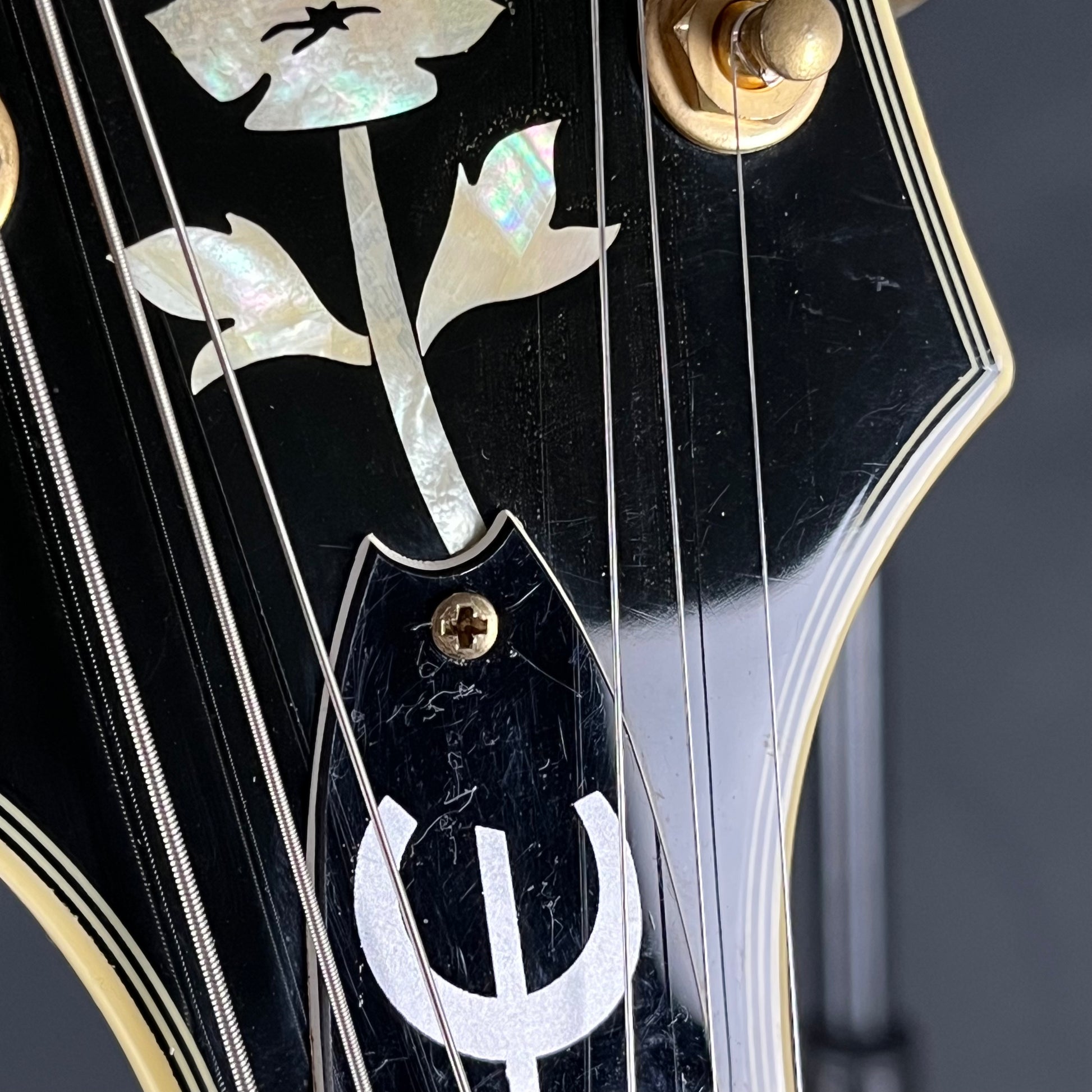 Epiphone SHERATON II VS 2011