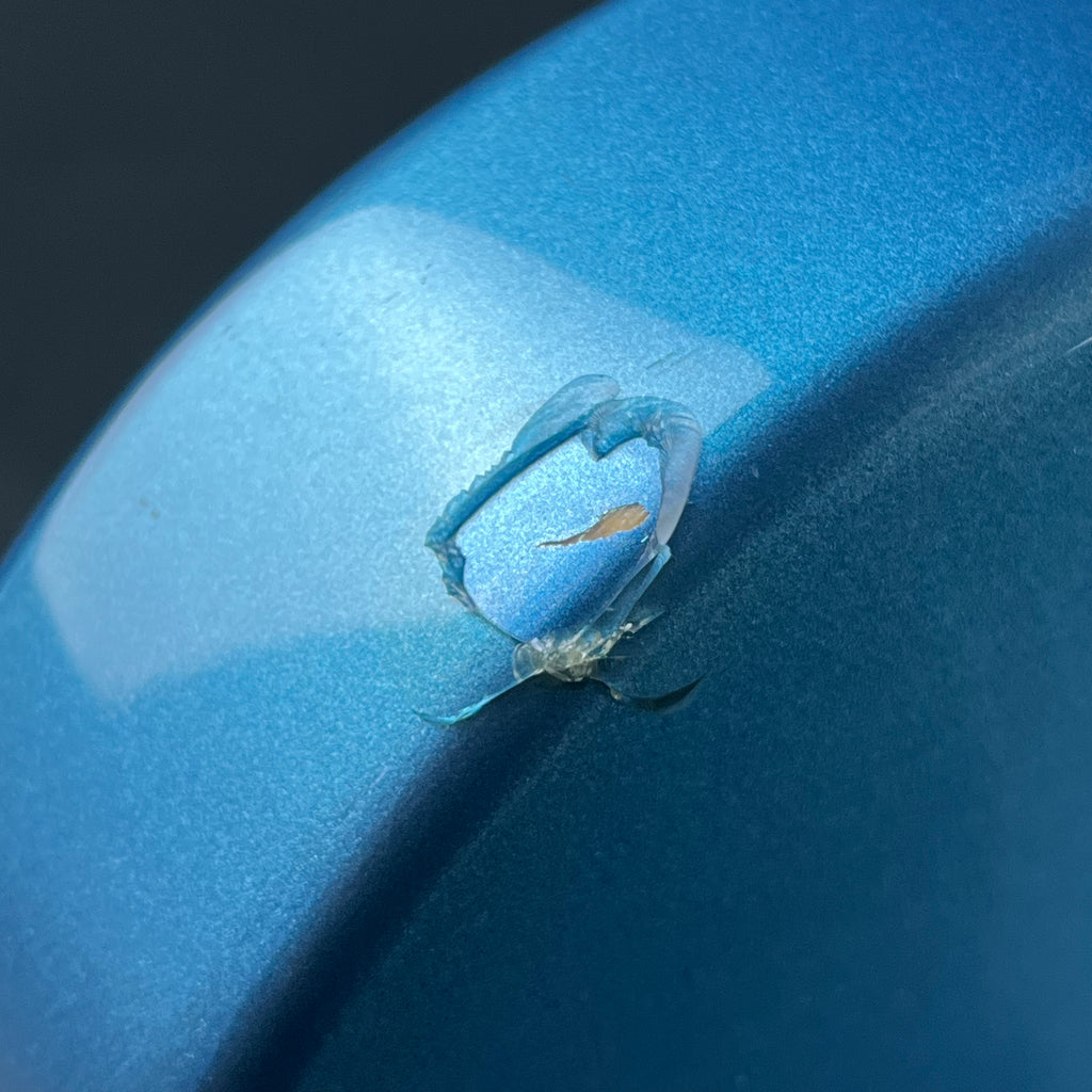 GrassRoots G-AMAZE-DX/LS