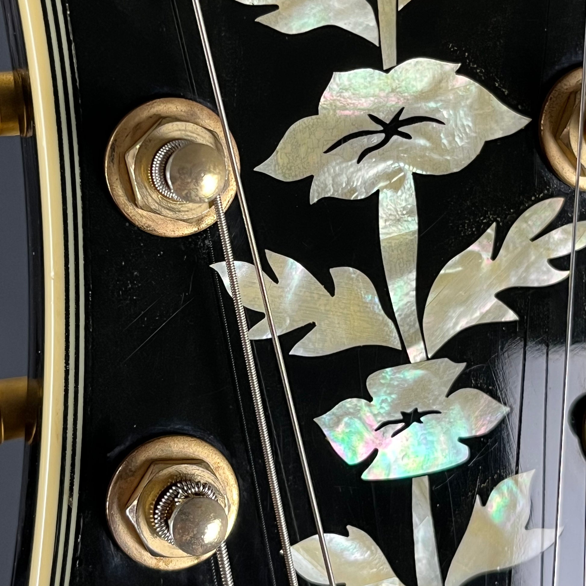 Epiphone SHERATON II VS 2011