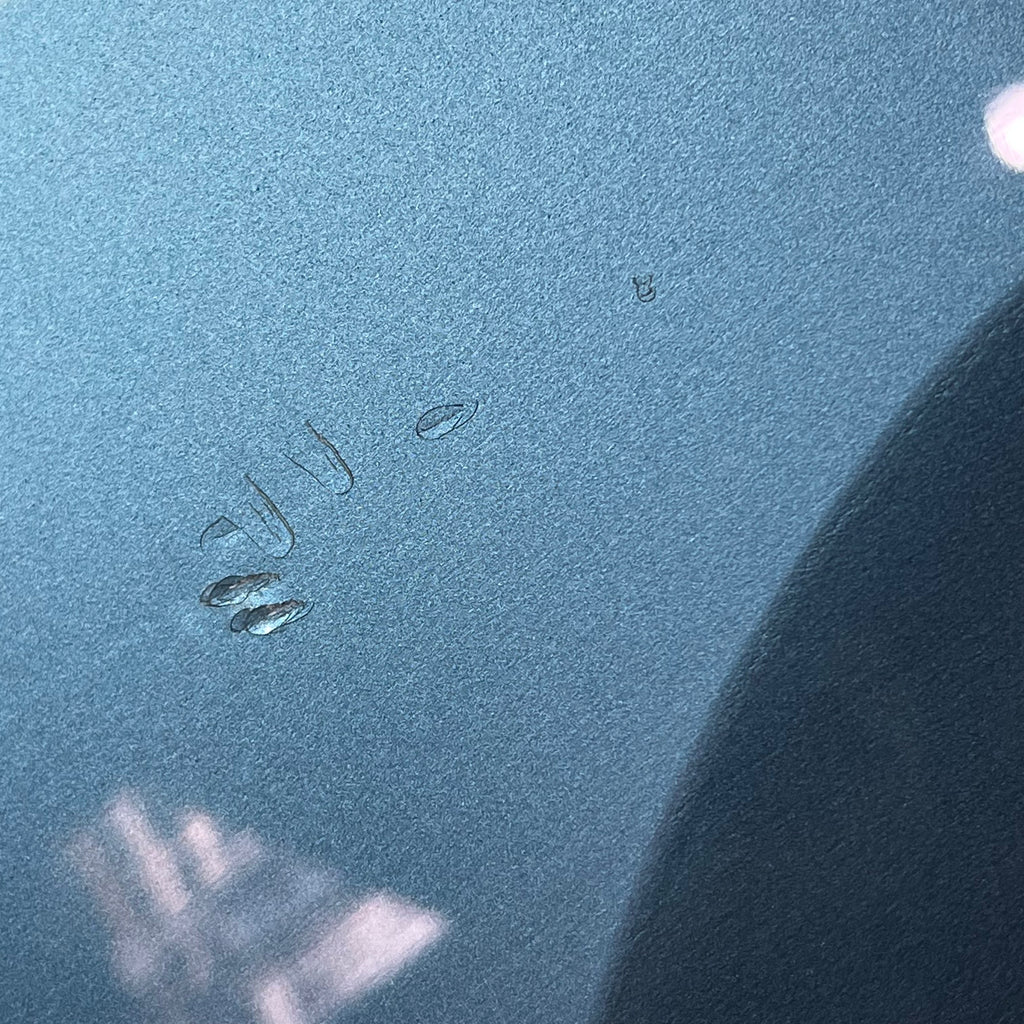 GrassRoots G-AMAZE-DX/LS